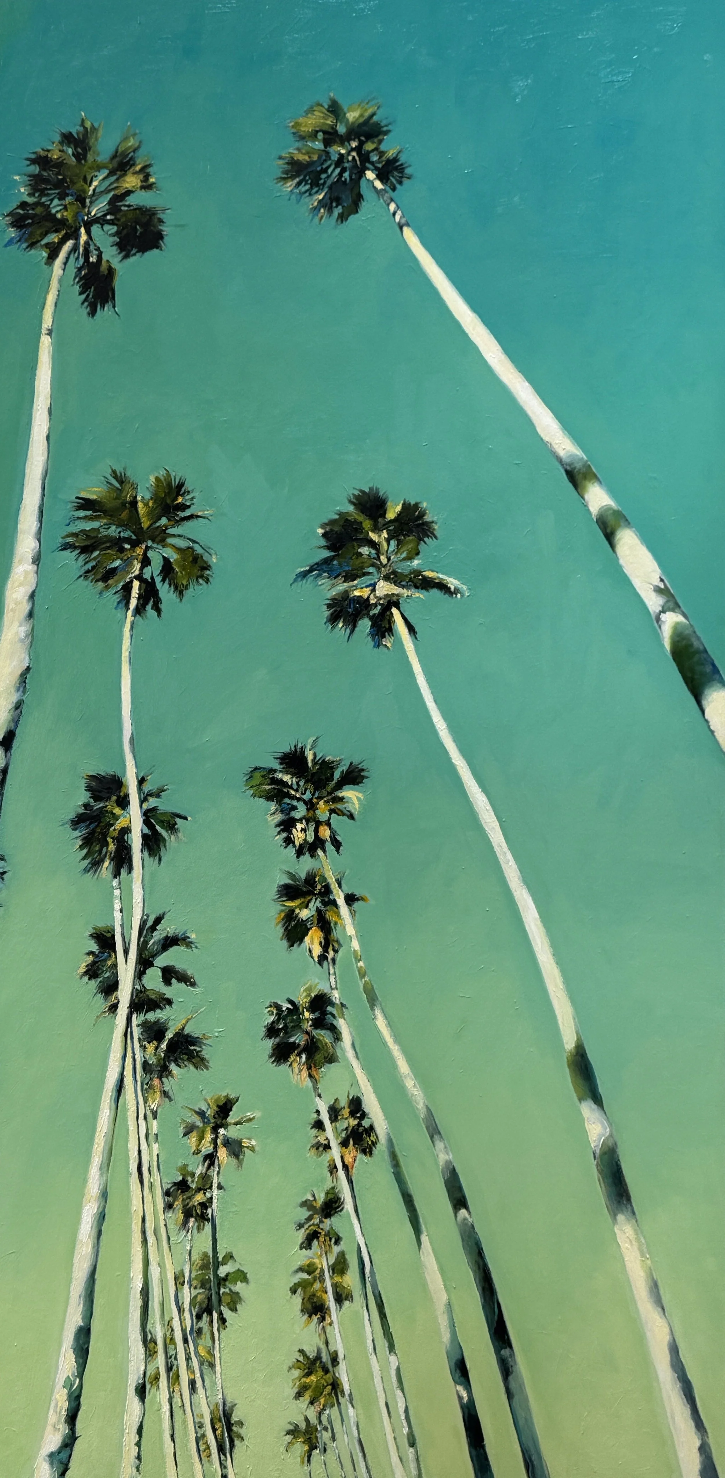 Meandering Palms