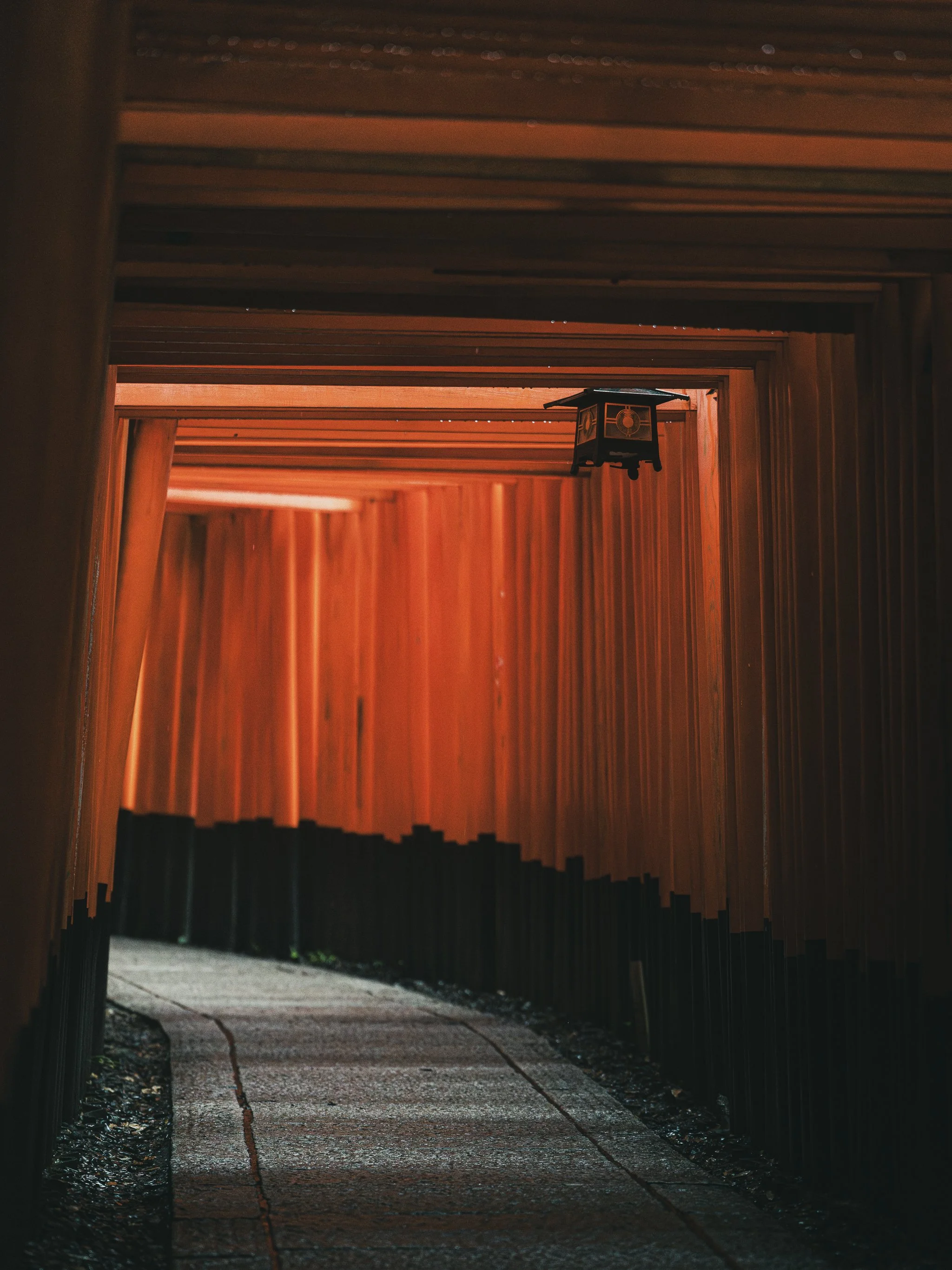 HMP00636-Enhanced-NR.jpg