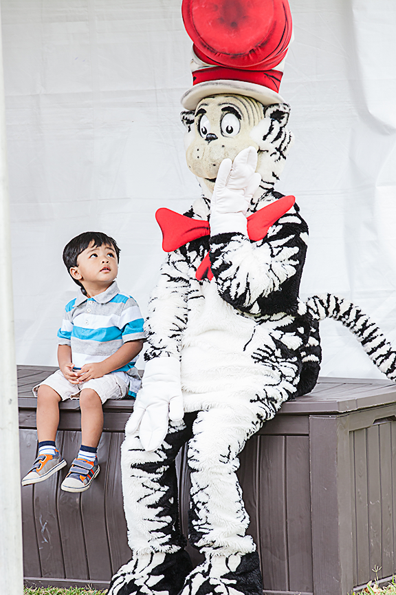Cat In The Hat