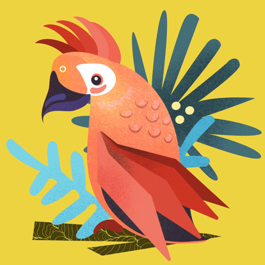 Parrot_Instagram.gif