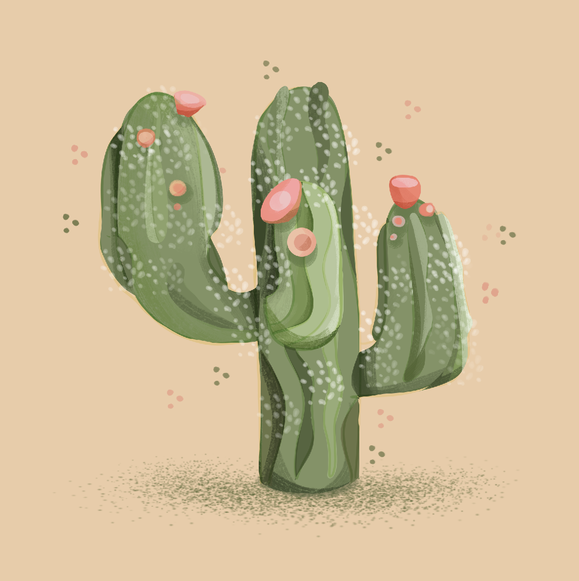 image (3).png