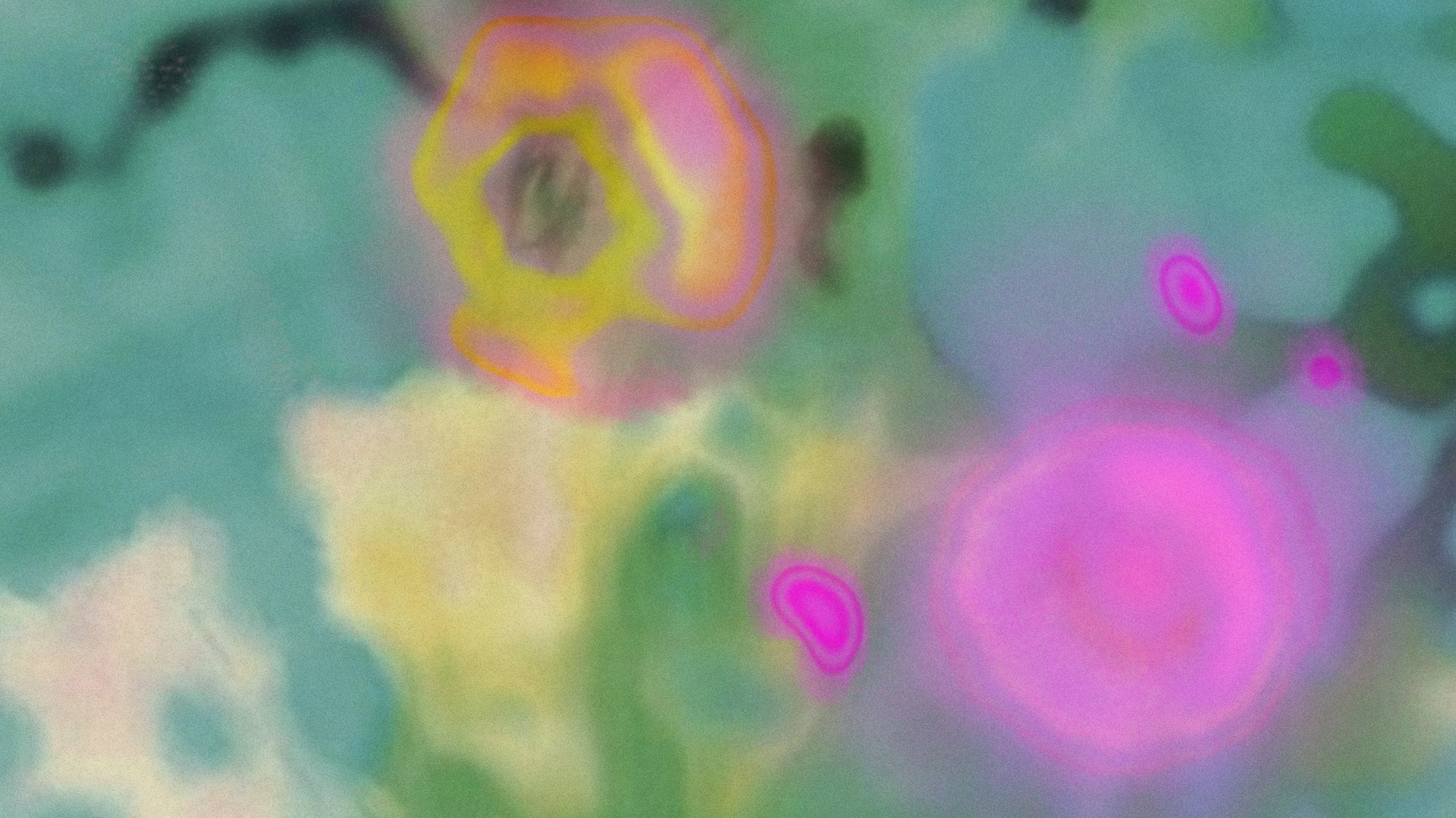 668c1cebcb7e39951d7ea7e7_AICP2024_NEXT_Intro_5.jpg