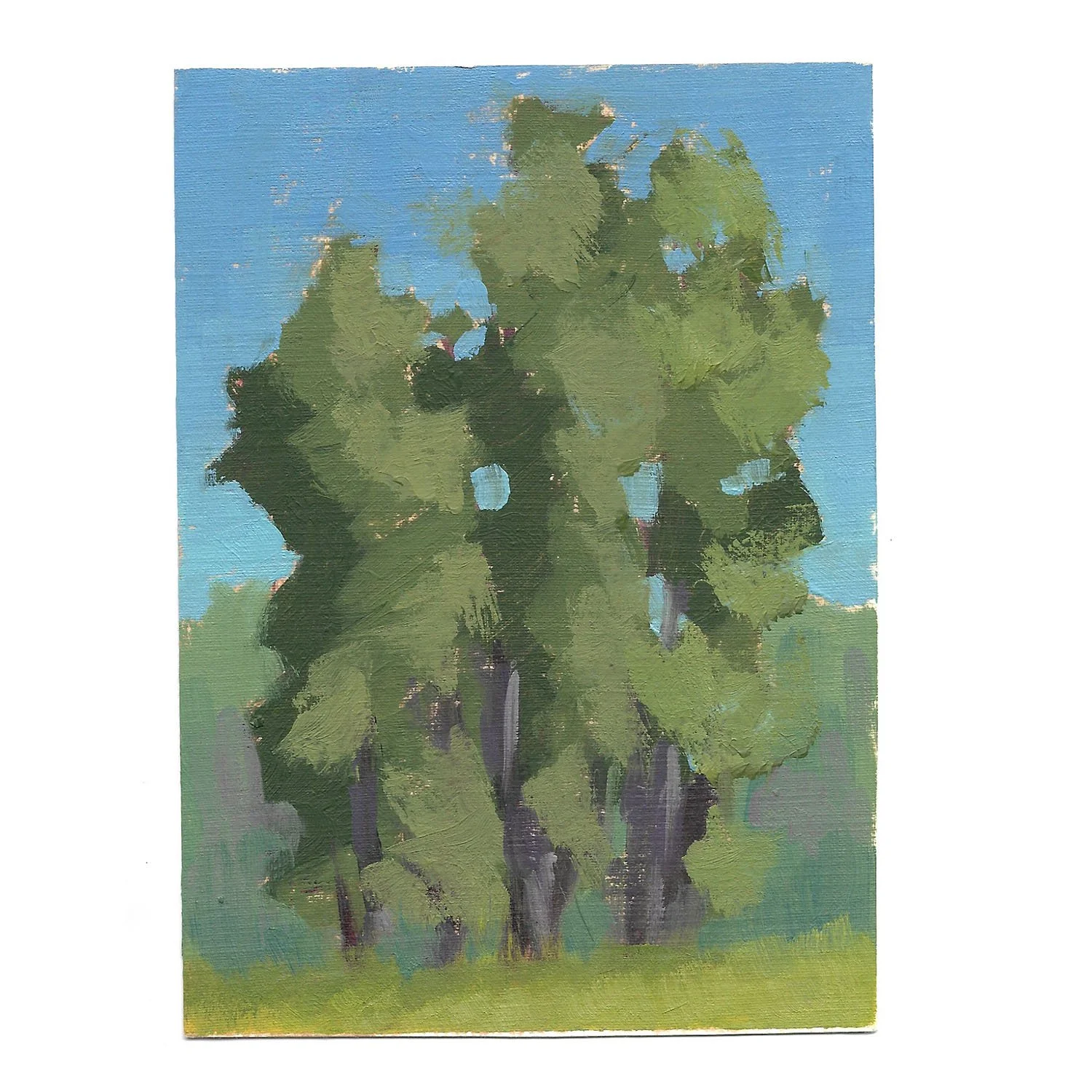 Oil on canvas paper