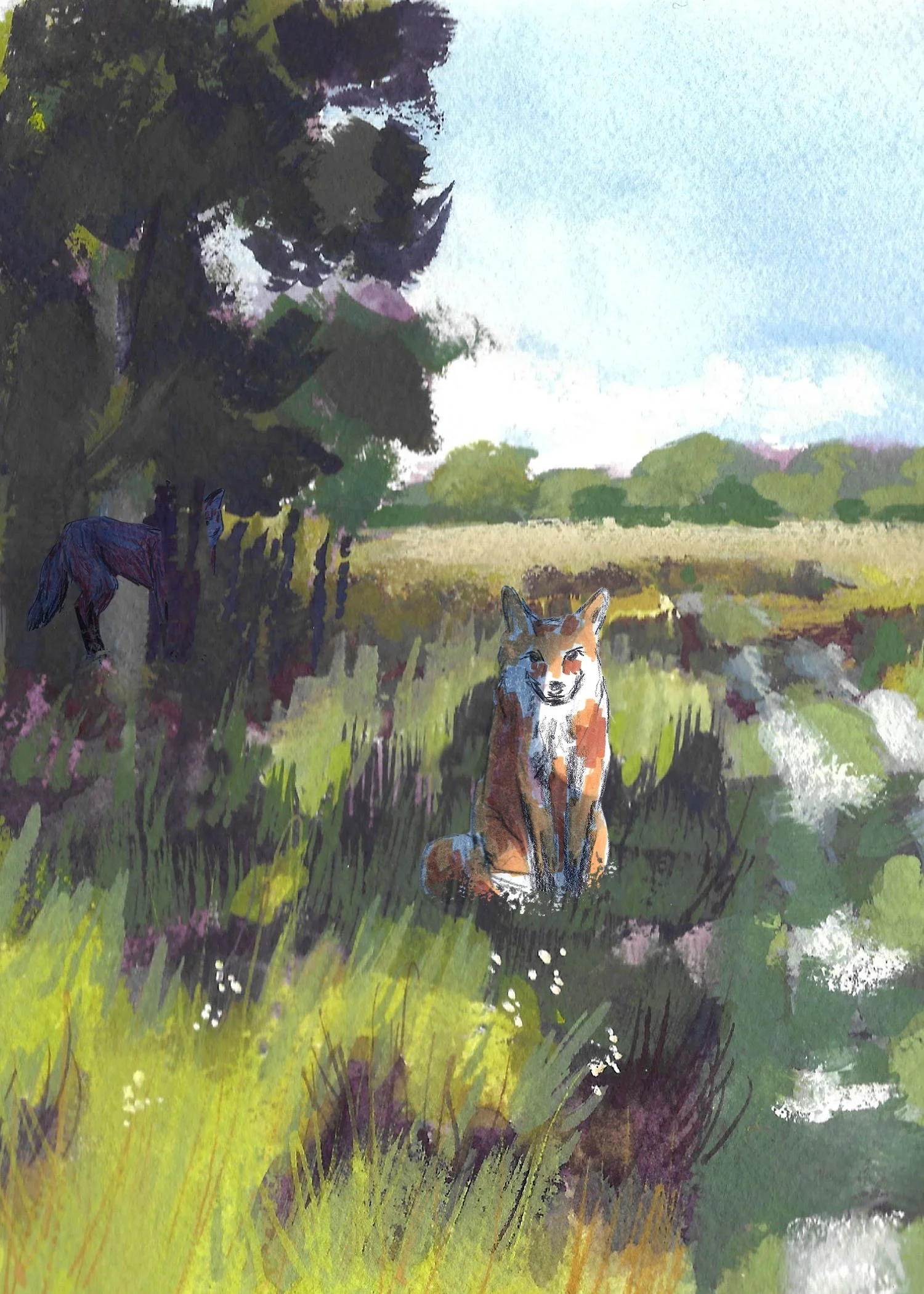 Illustrations-animals-07_2.jpg