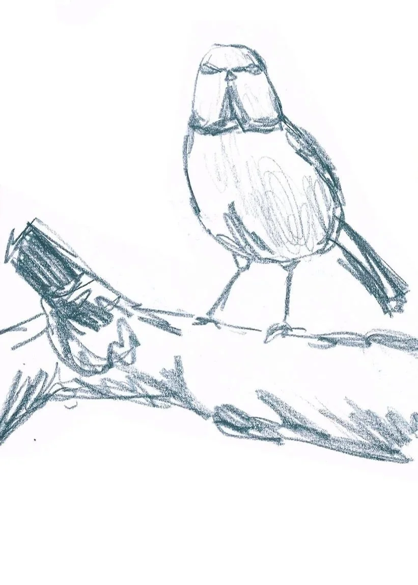 Sketch