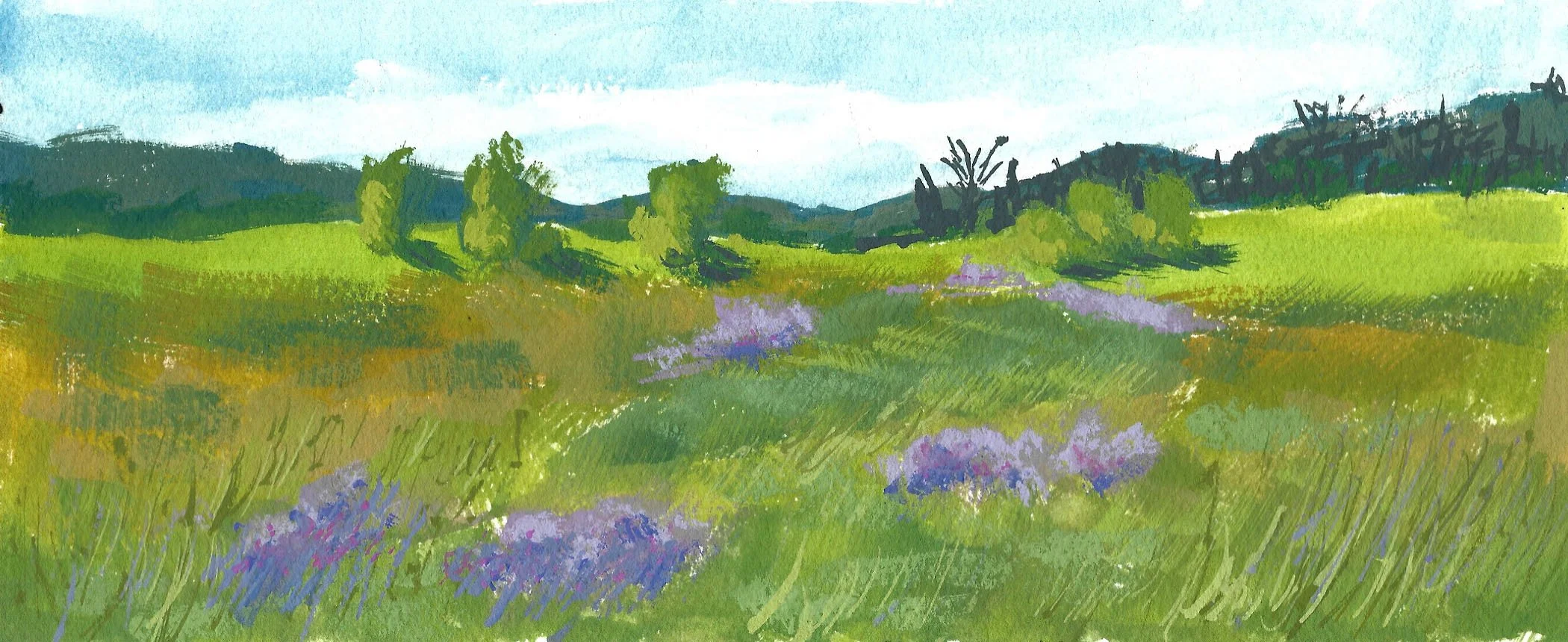 Illustrations-Landscapes-19.jpg