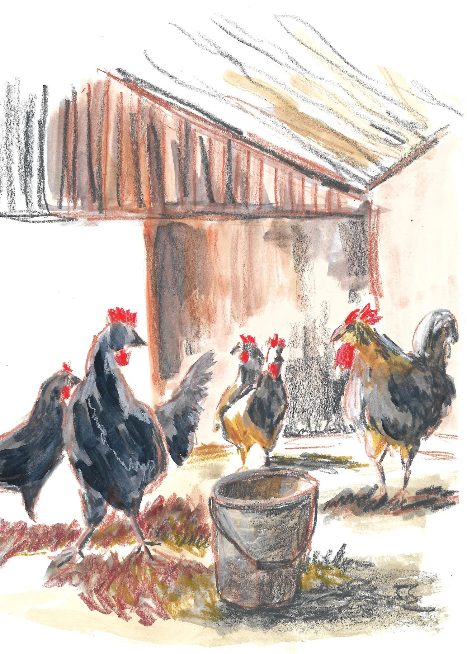Illustrations-animals-11.jpg