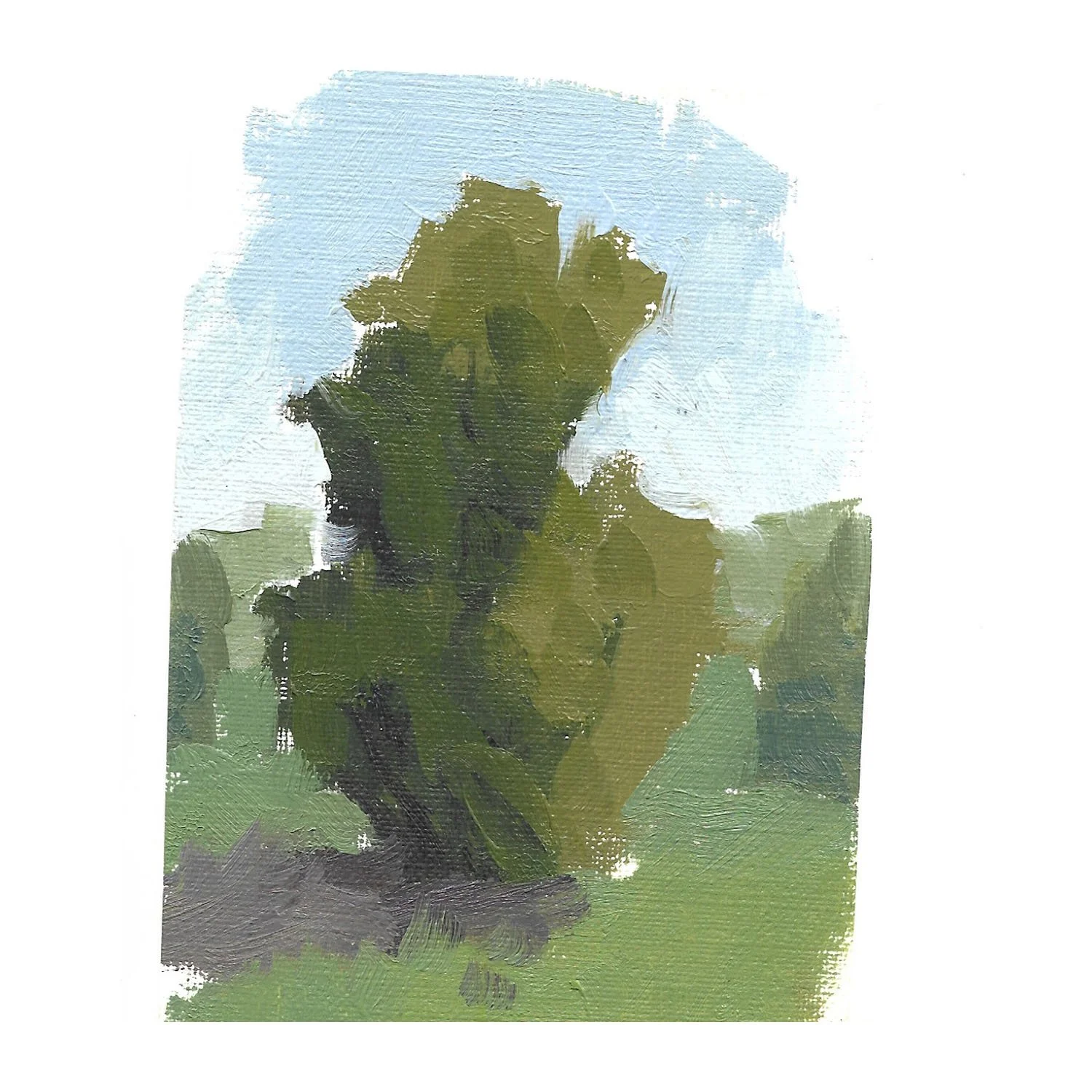 Oil on canvas paper