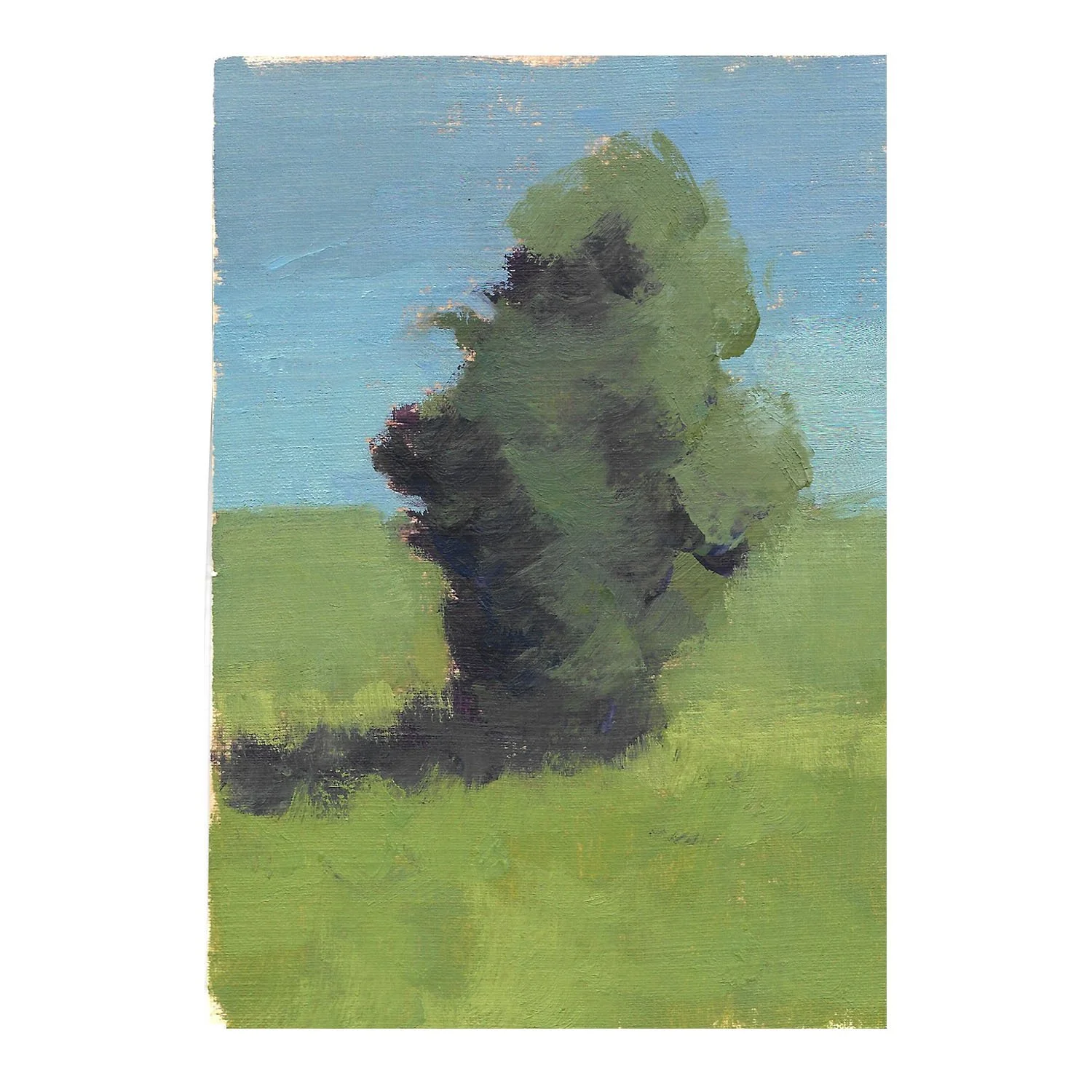 Oil on canvas paper