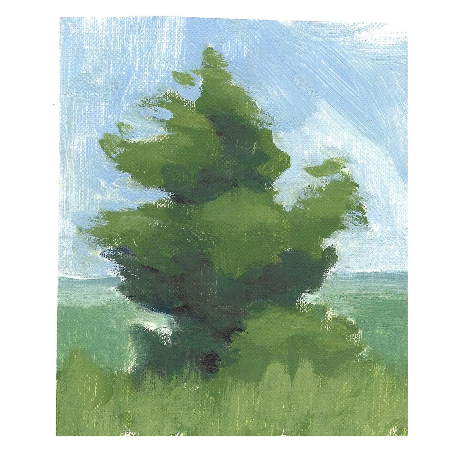 Oil on canvas paper