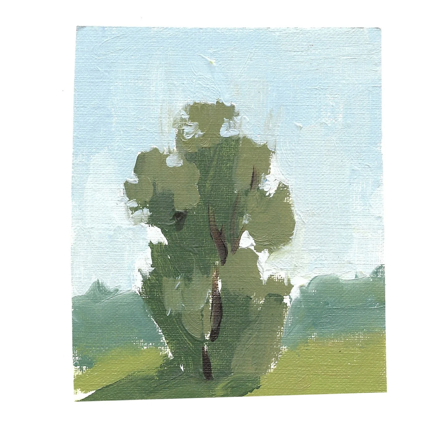 Oil on canvas paper
