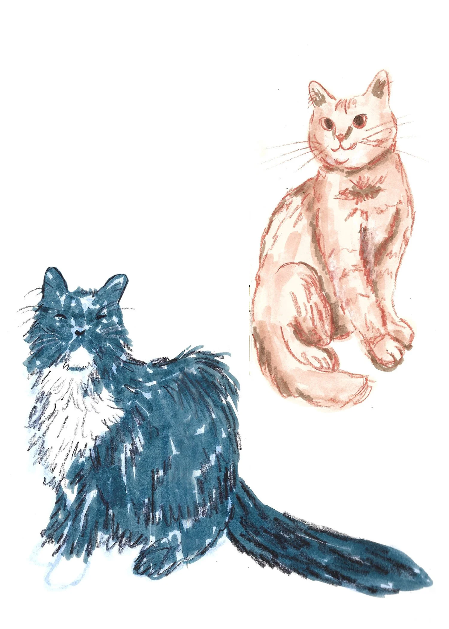 Illustrations-animals-03.jpg