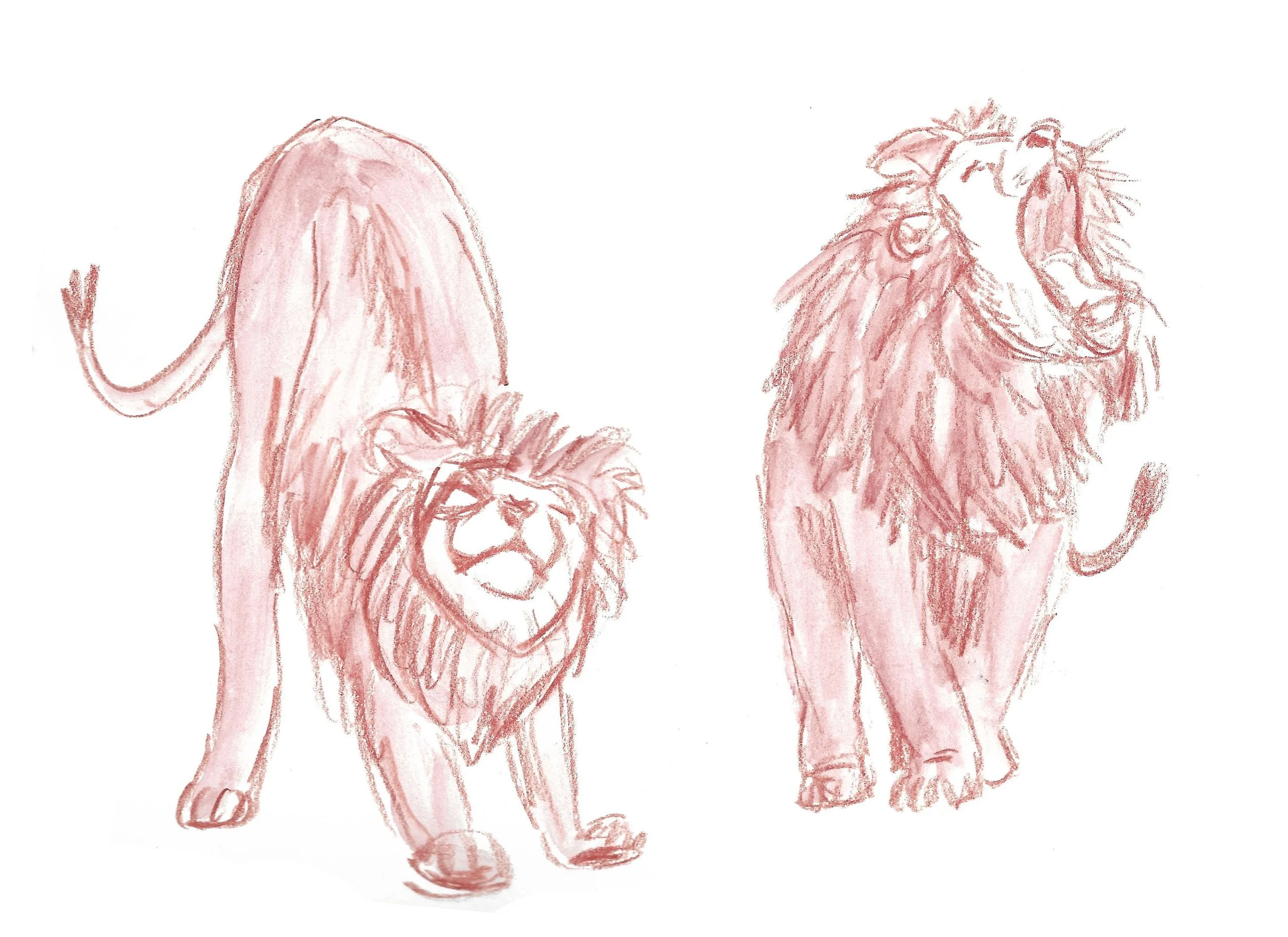Layouts-square-lion.jpg