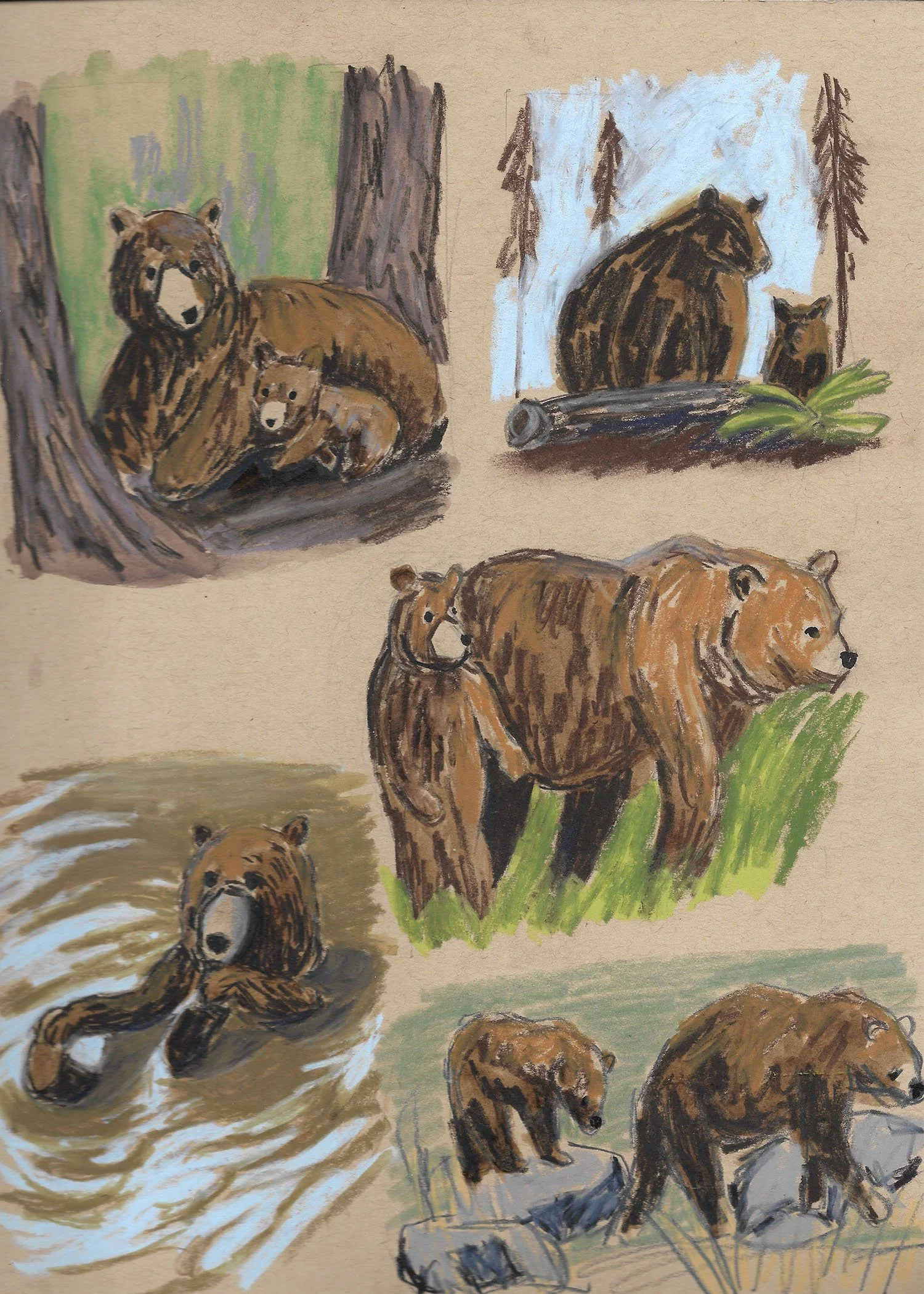 Illustrations-animals-05.jpg
