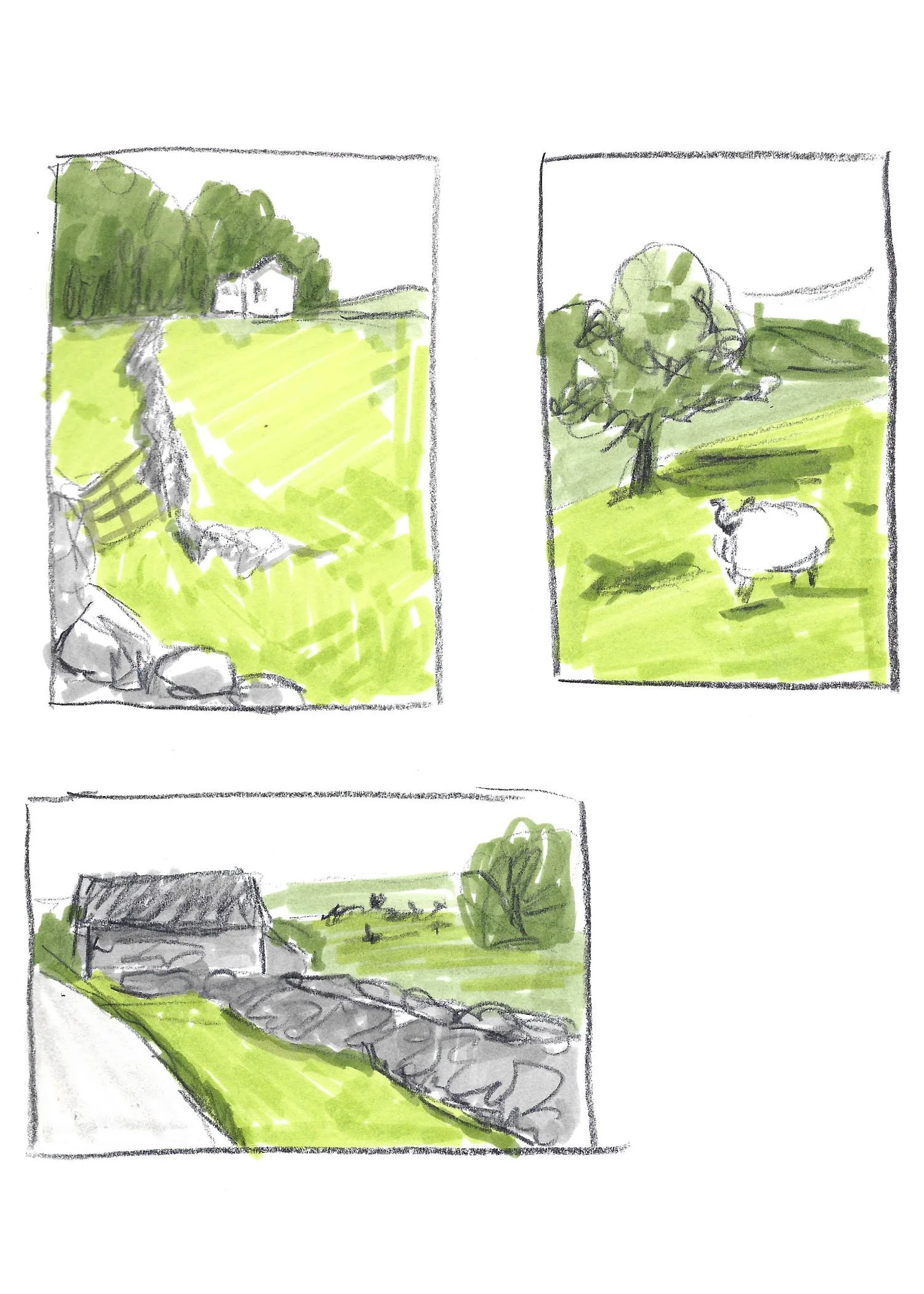 Sketch