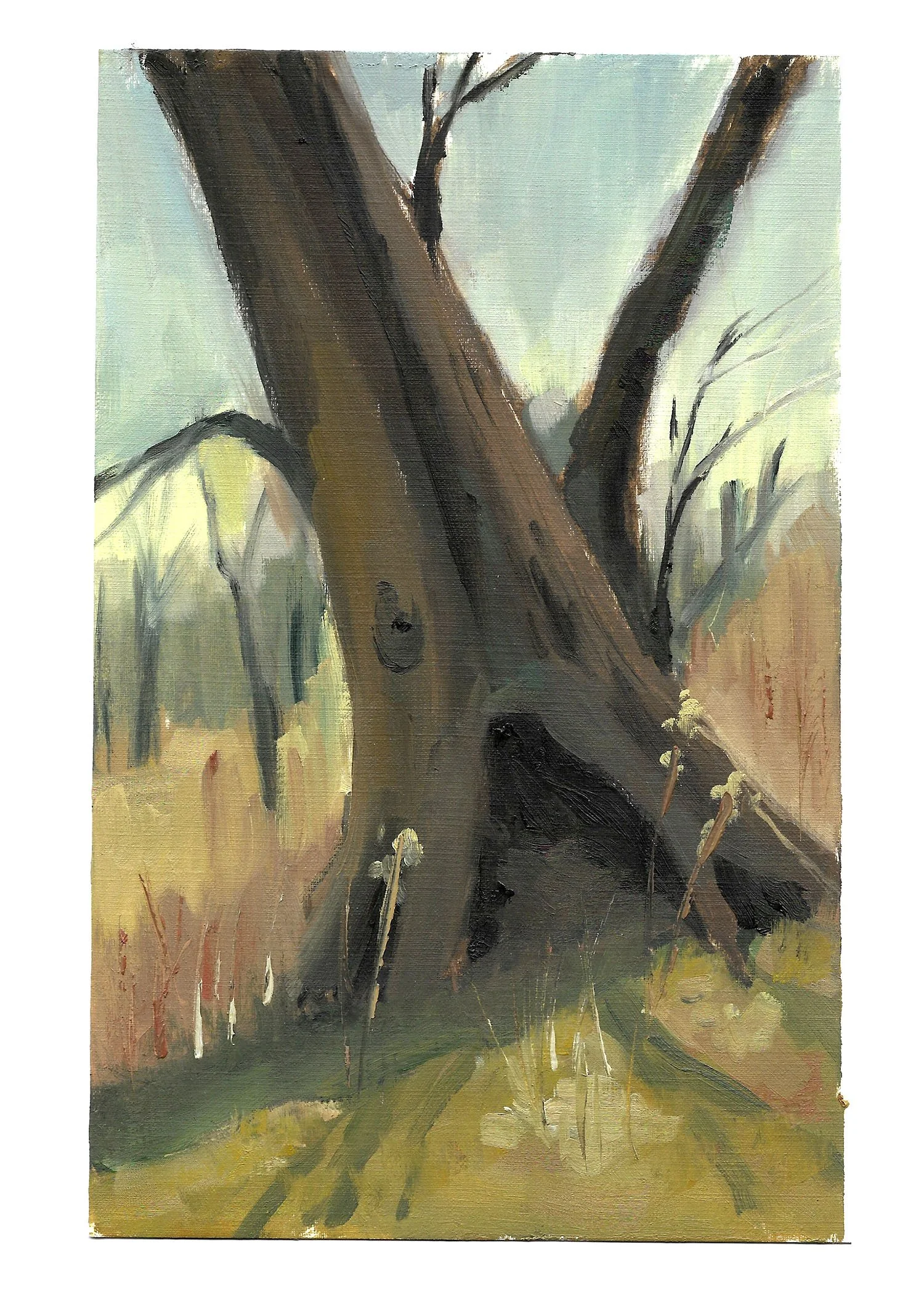 Oil on canvas paper