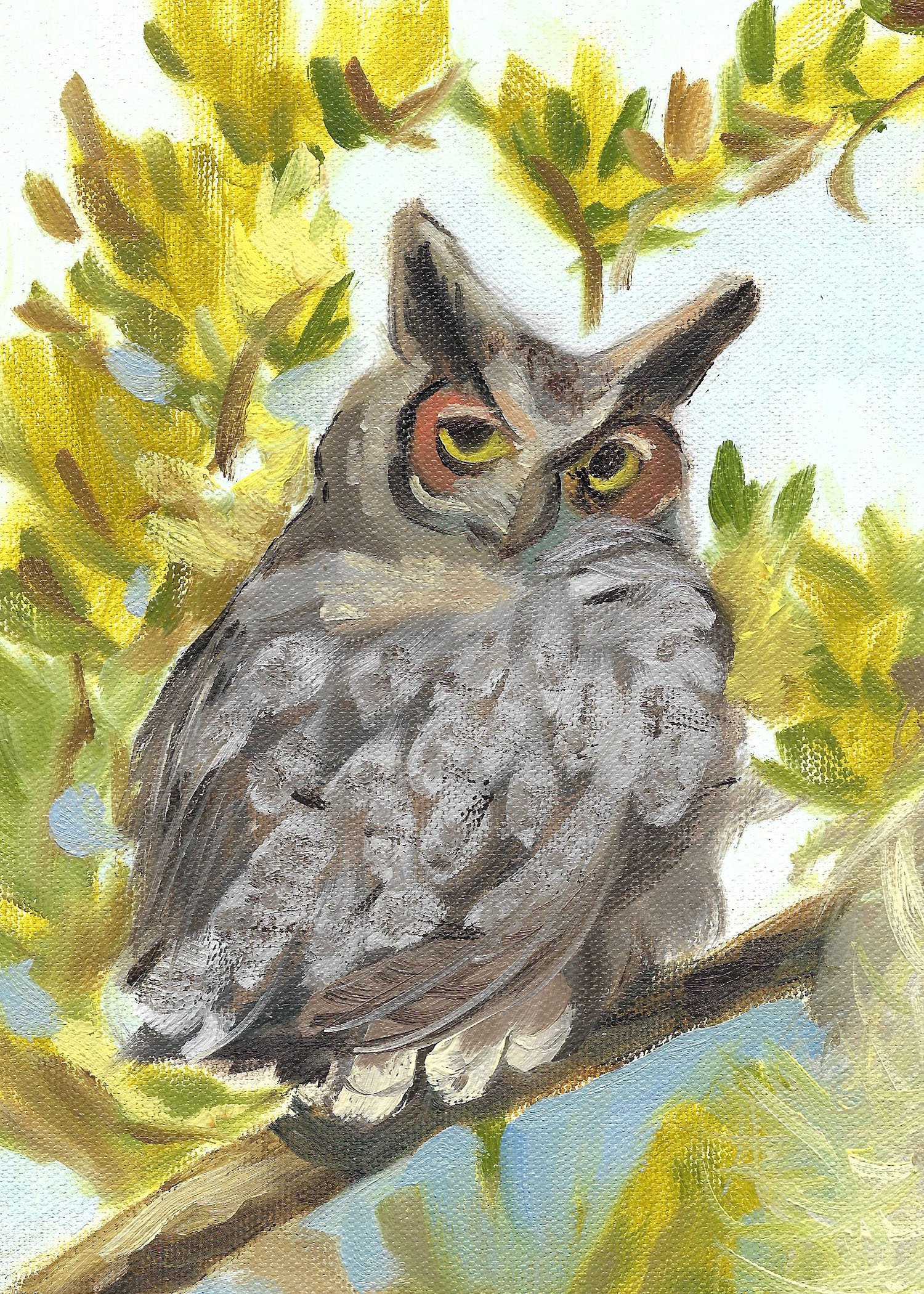 Illustrations-animals-13.jpg