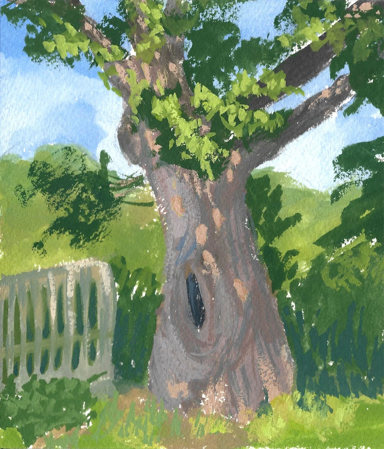 Illustrations-Landscapes-21.jpg