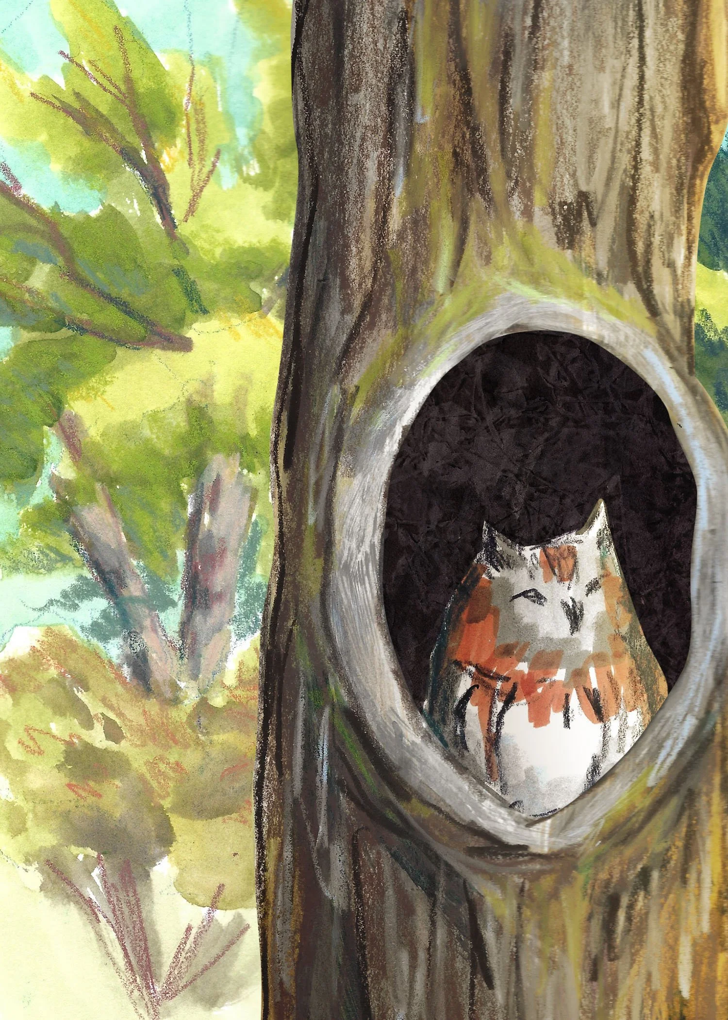 Illustrations-animals-06.jpg
