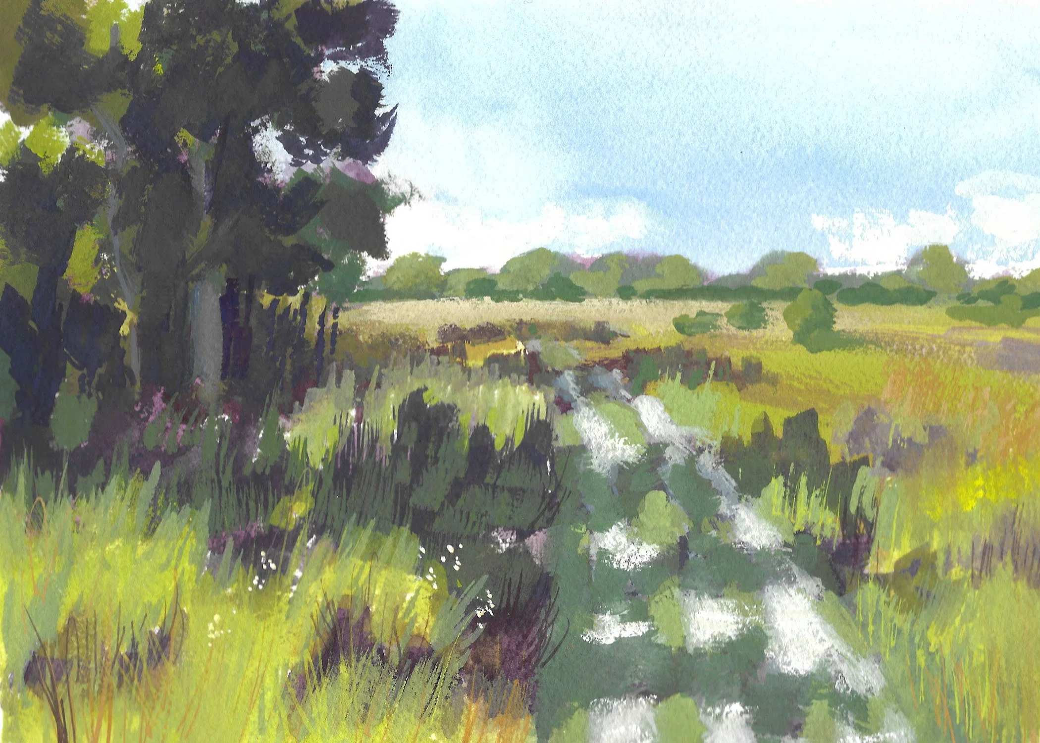 Illustrations-Landscapes-17.jpg