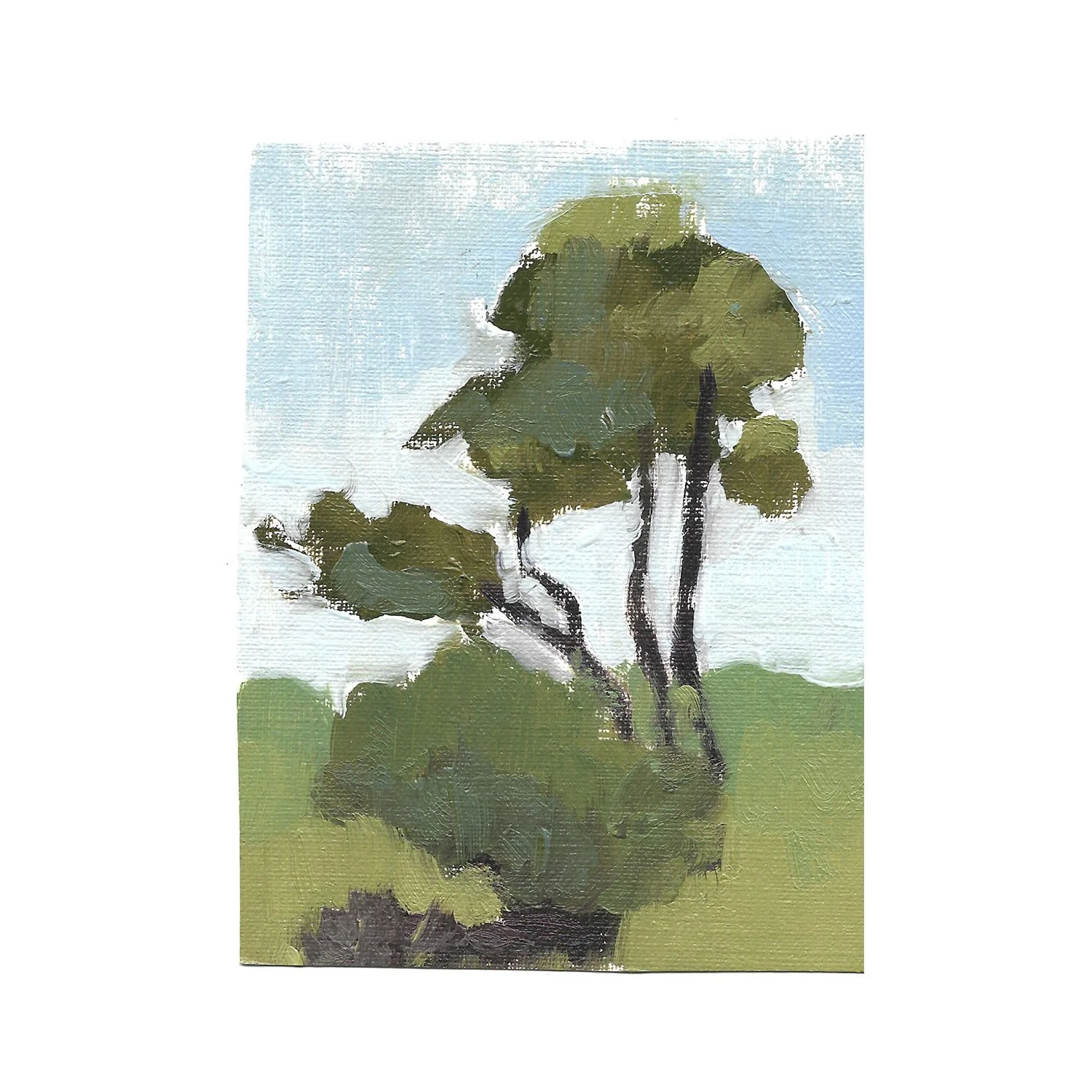 Oil on canvas paper