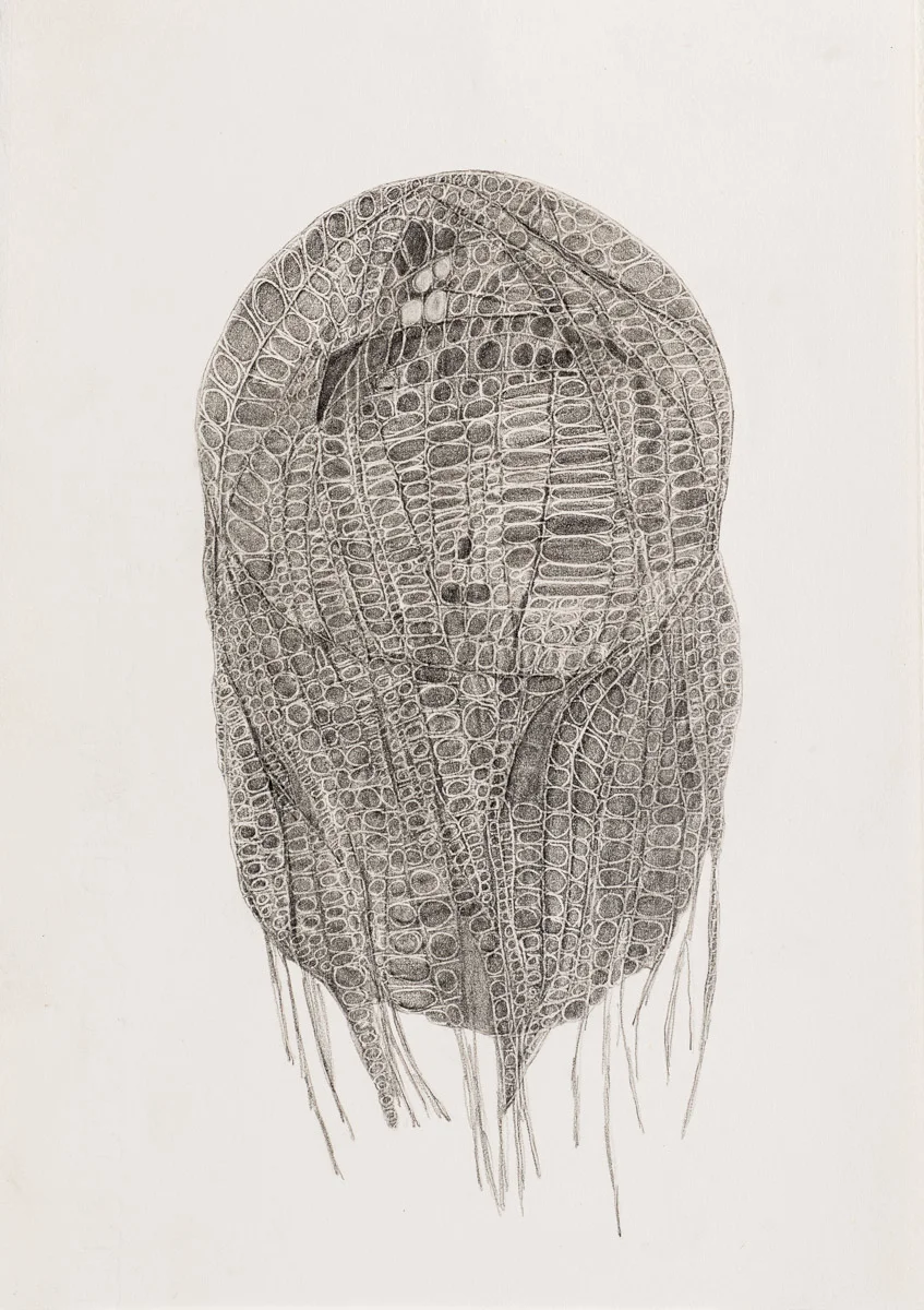 Untitled, Graphite 7" x 11"
