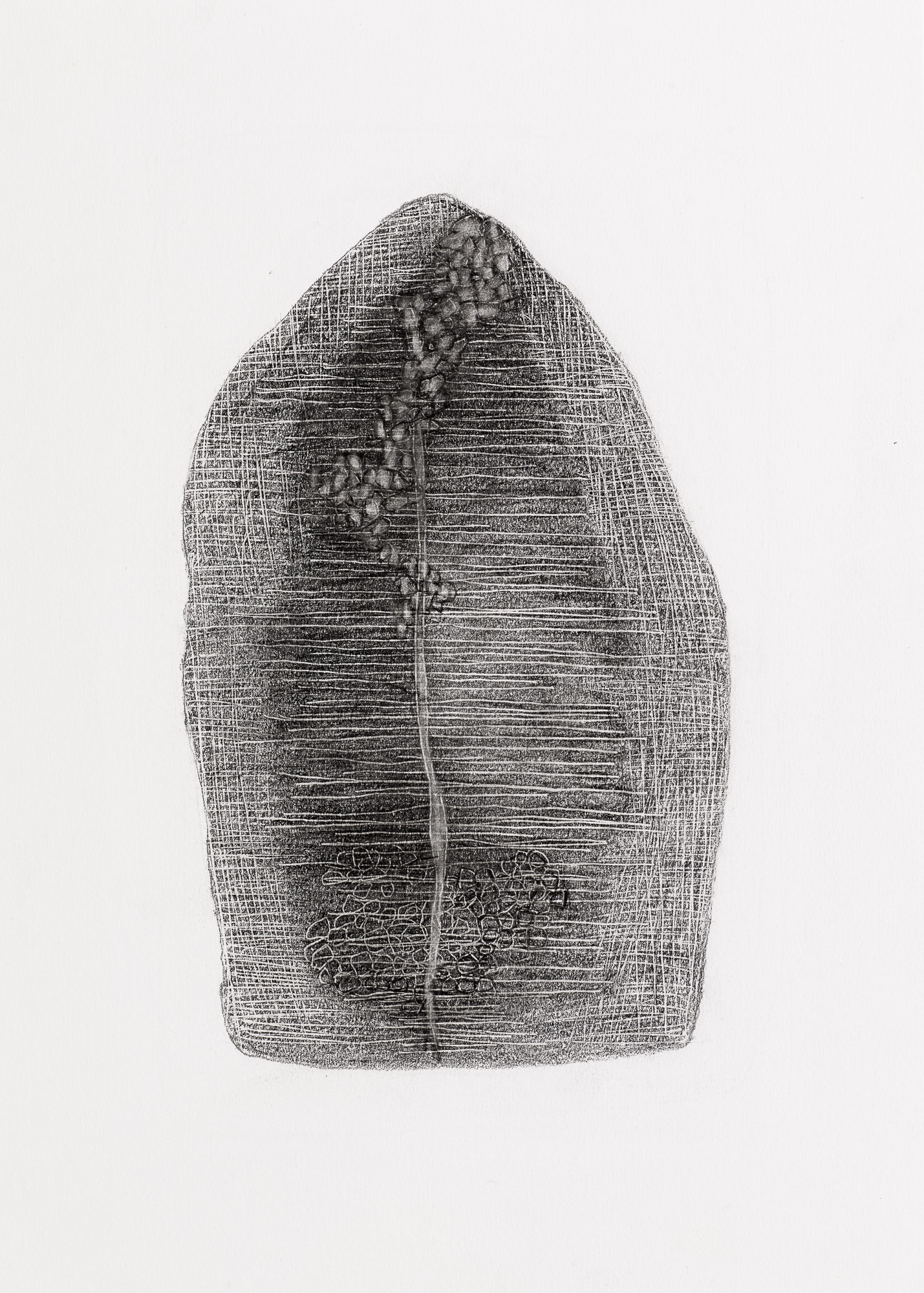 Untitled, Graphite 7" x 11"