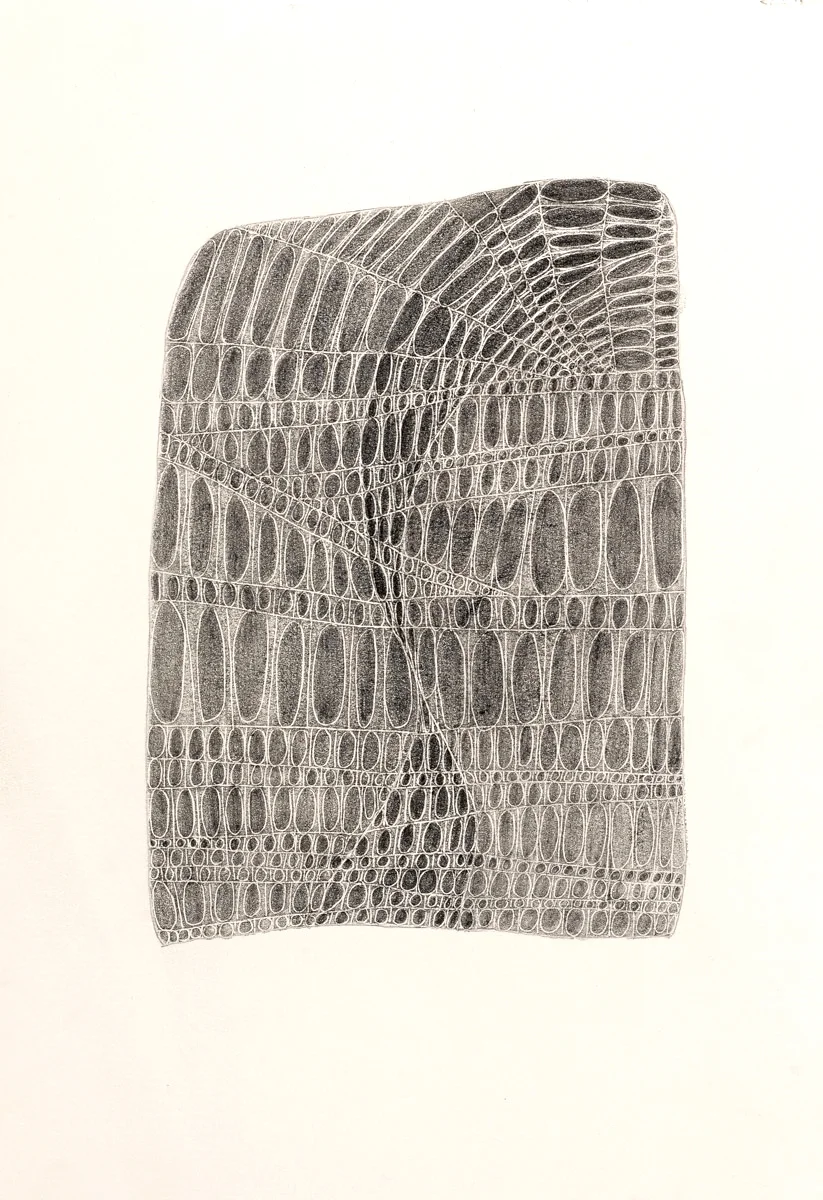 Untitled, Graphite 7" x 11"