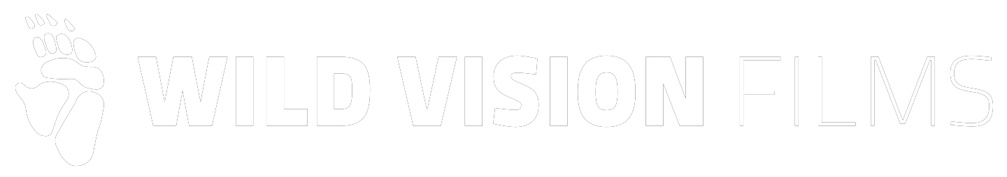 Wild Vision Films