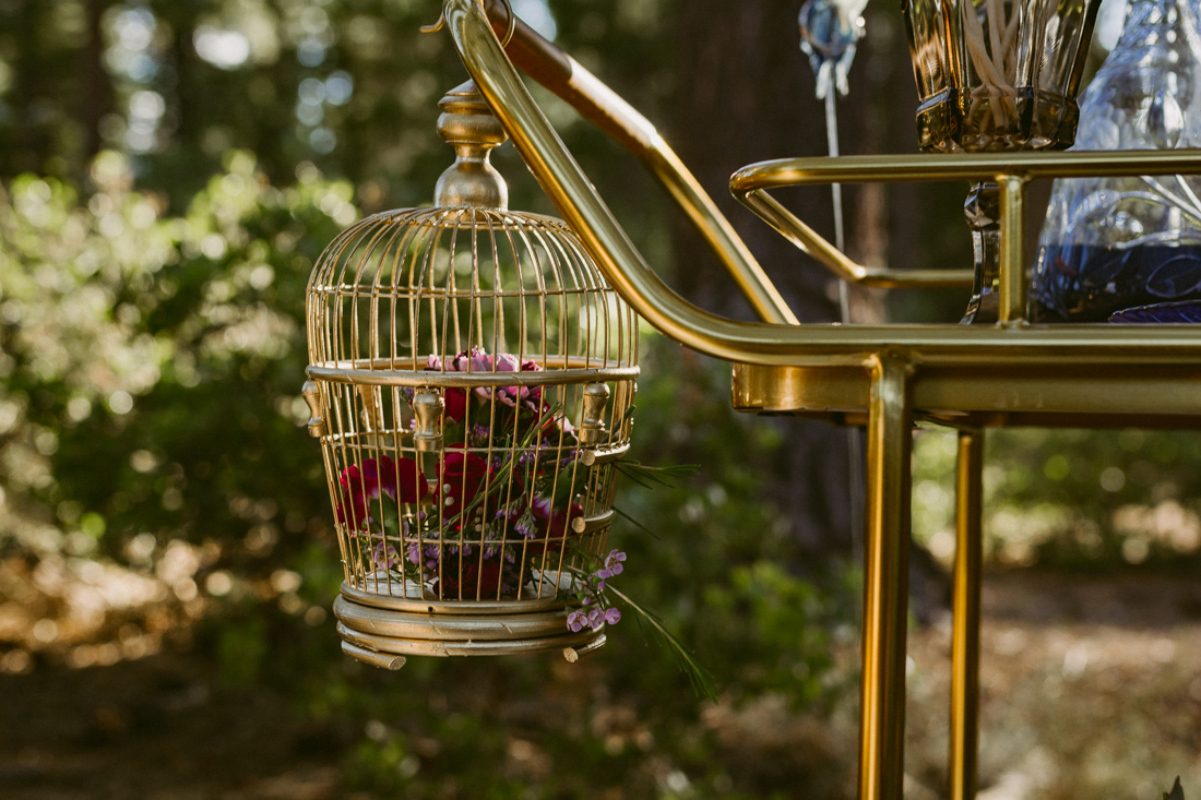 bohemian bird cage photo