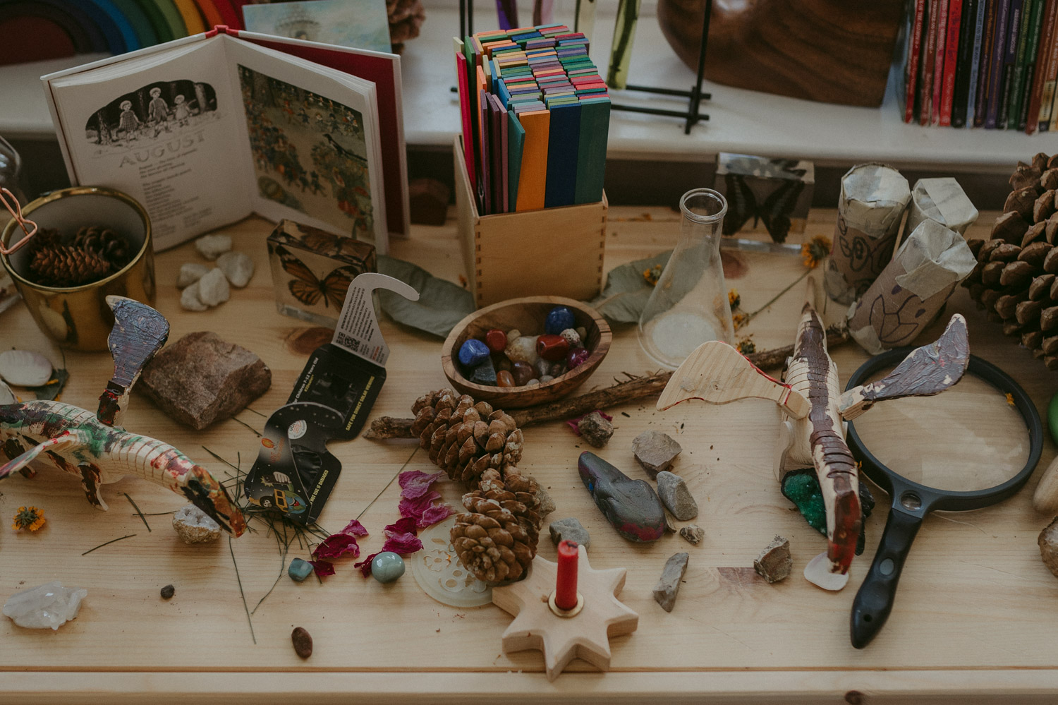 Reno family session home school decor ideas rock photo