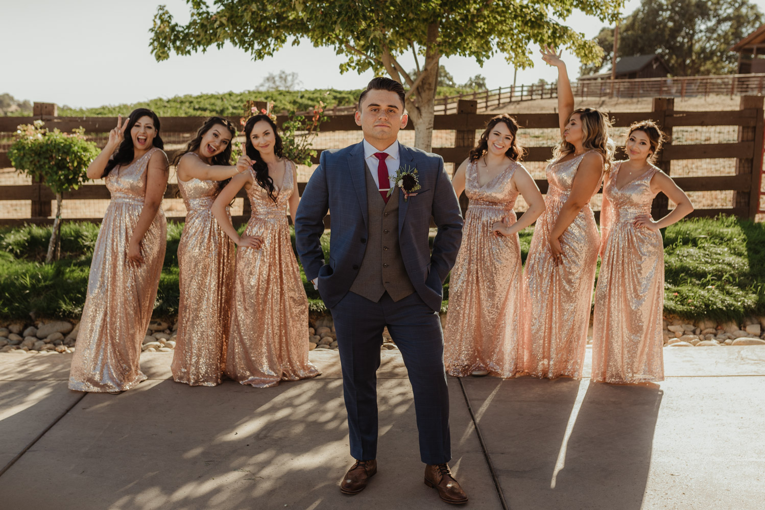 Ranch Victoria vineyard wedding groom with the girls photo