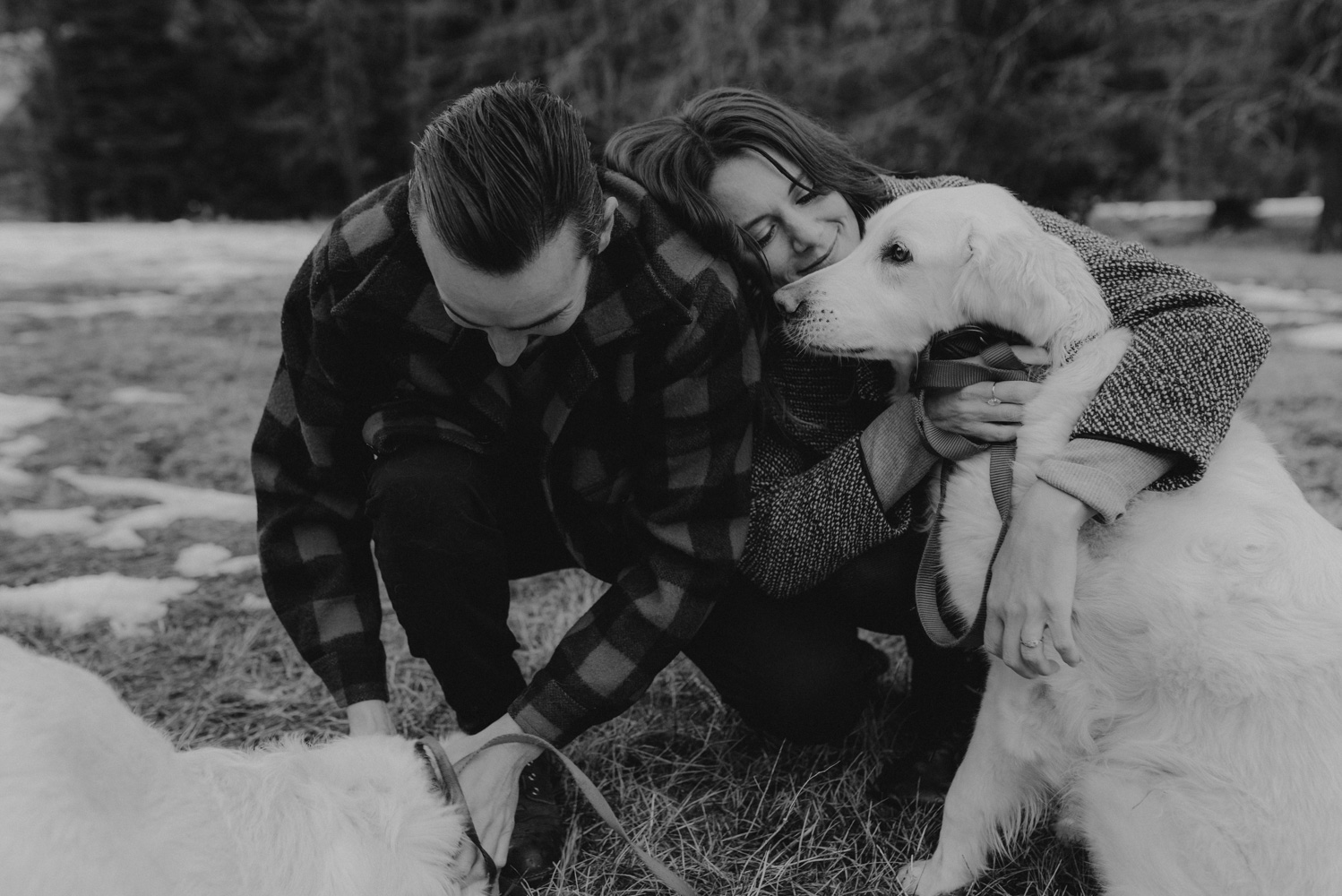 Strawberry California engagement session with dogs photo