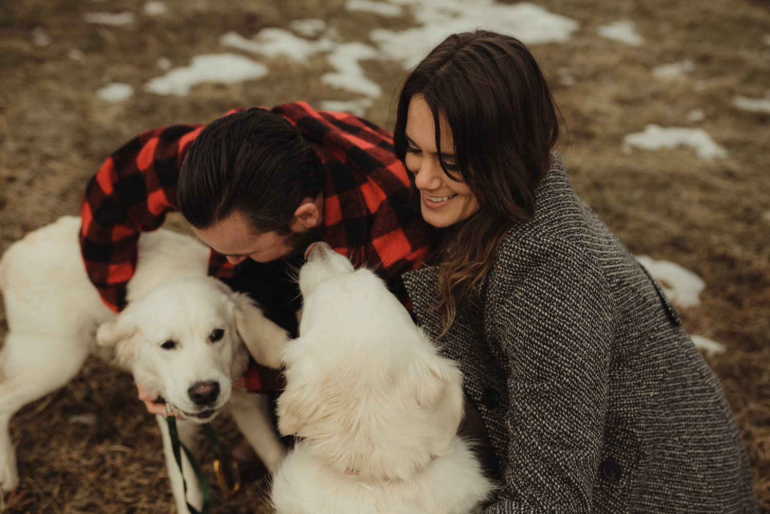 Strawberry California engagement session with dogs photo