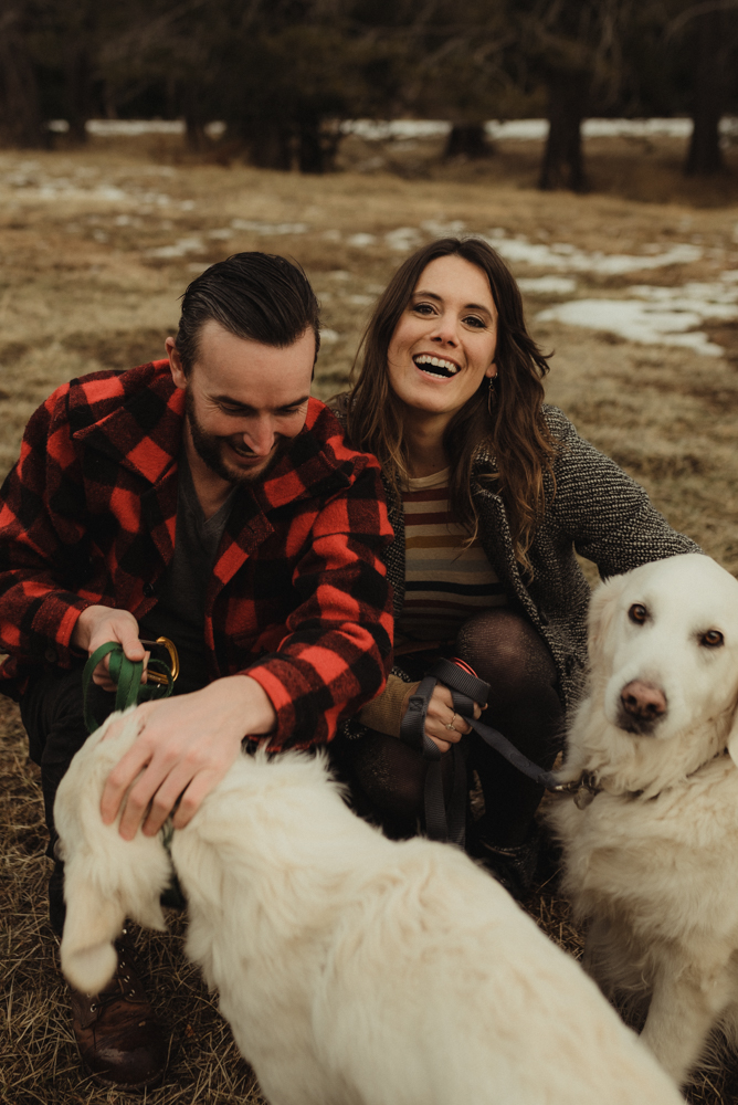 Strawberry California engagement session with dogs photo