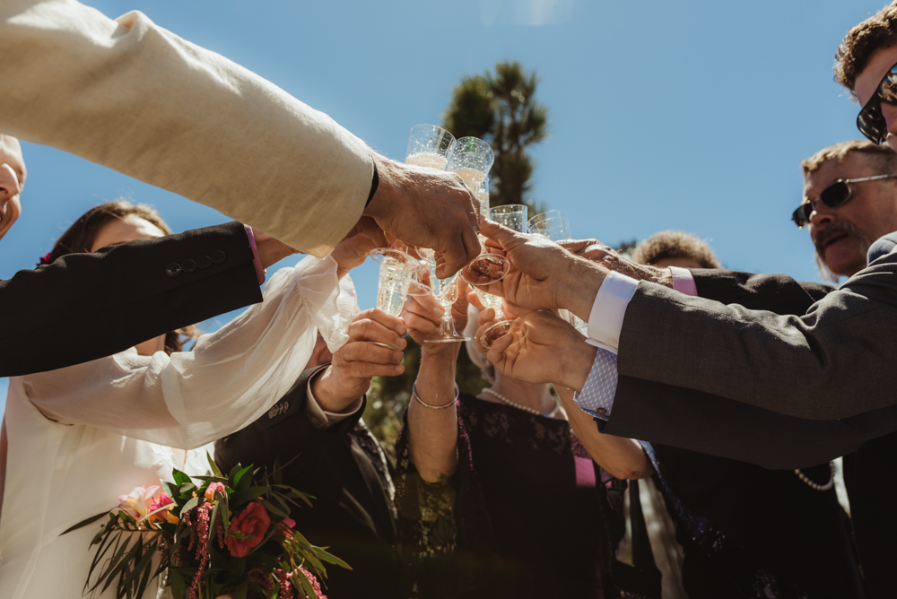 Emerald Bay Elopement, family cheering photo