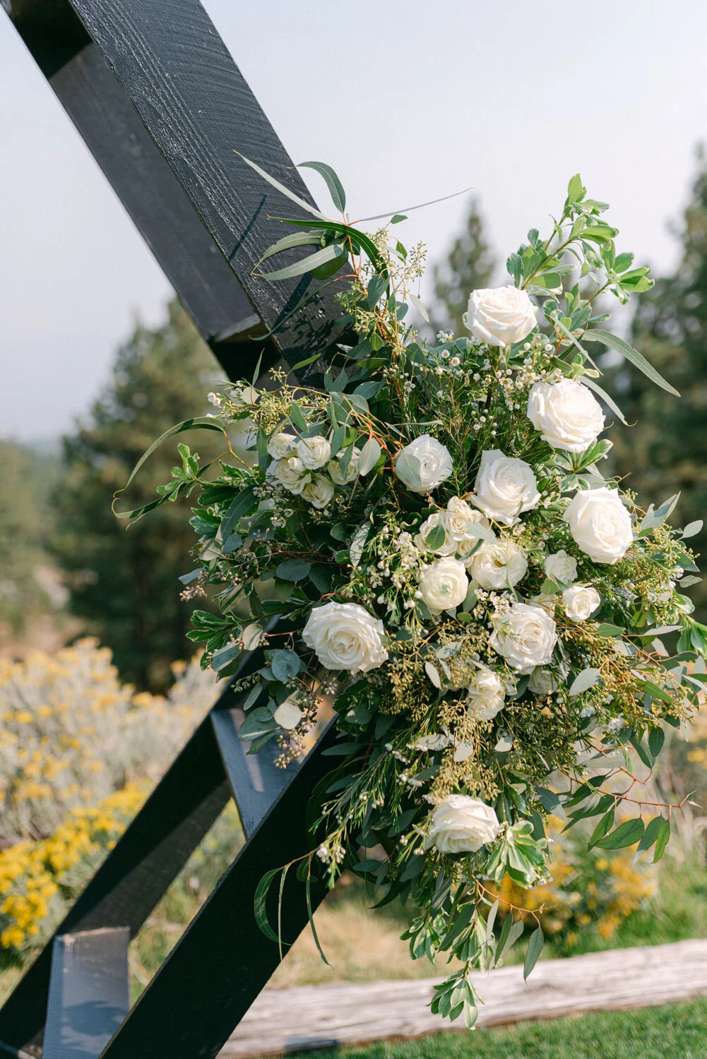 Best Day Ever - Lake Tahoe Wedding Photographer BlogTannenbaum Wedding ...