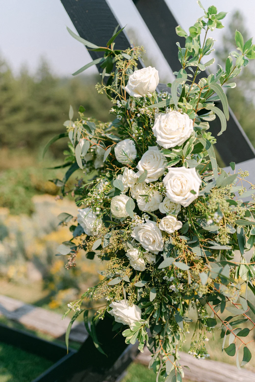 Best Day Ever - Lake Tahoe Wedding Photographer BlogTannenbaum Wedding ...