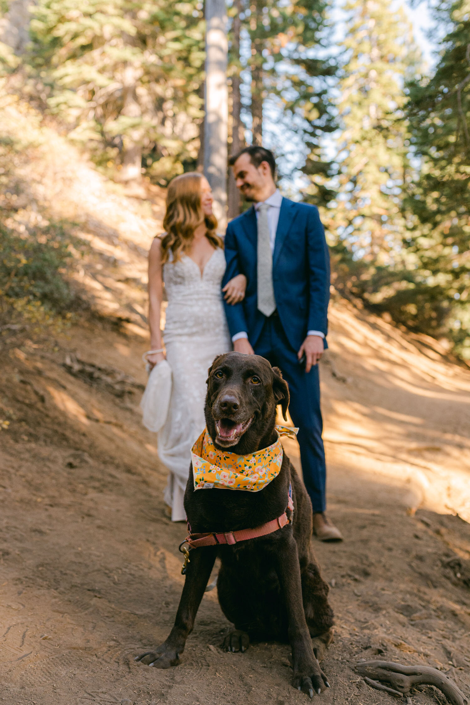 Fall in Lake Tahoe, elopement with the couple's dog