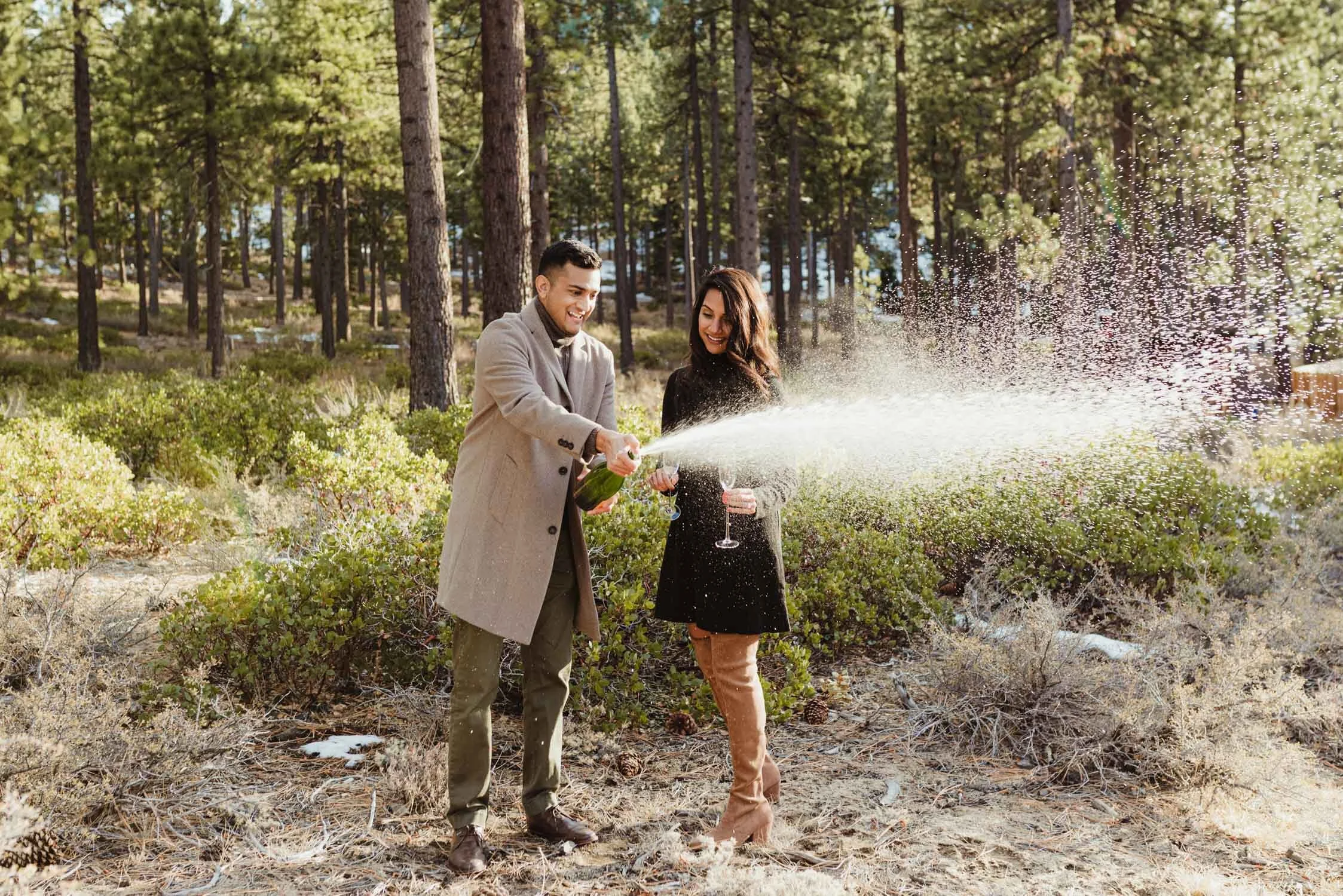 Lake Tahoe Surprise Proposal 