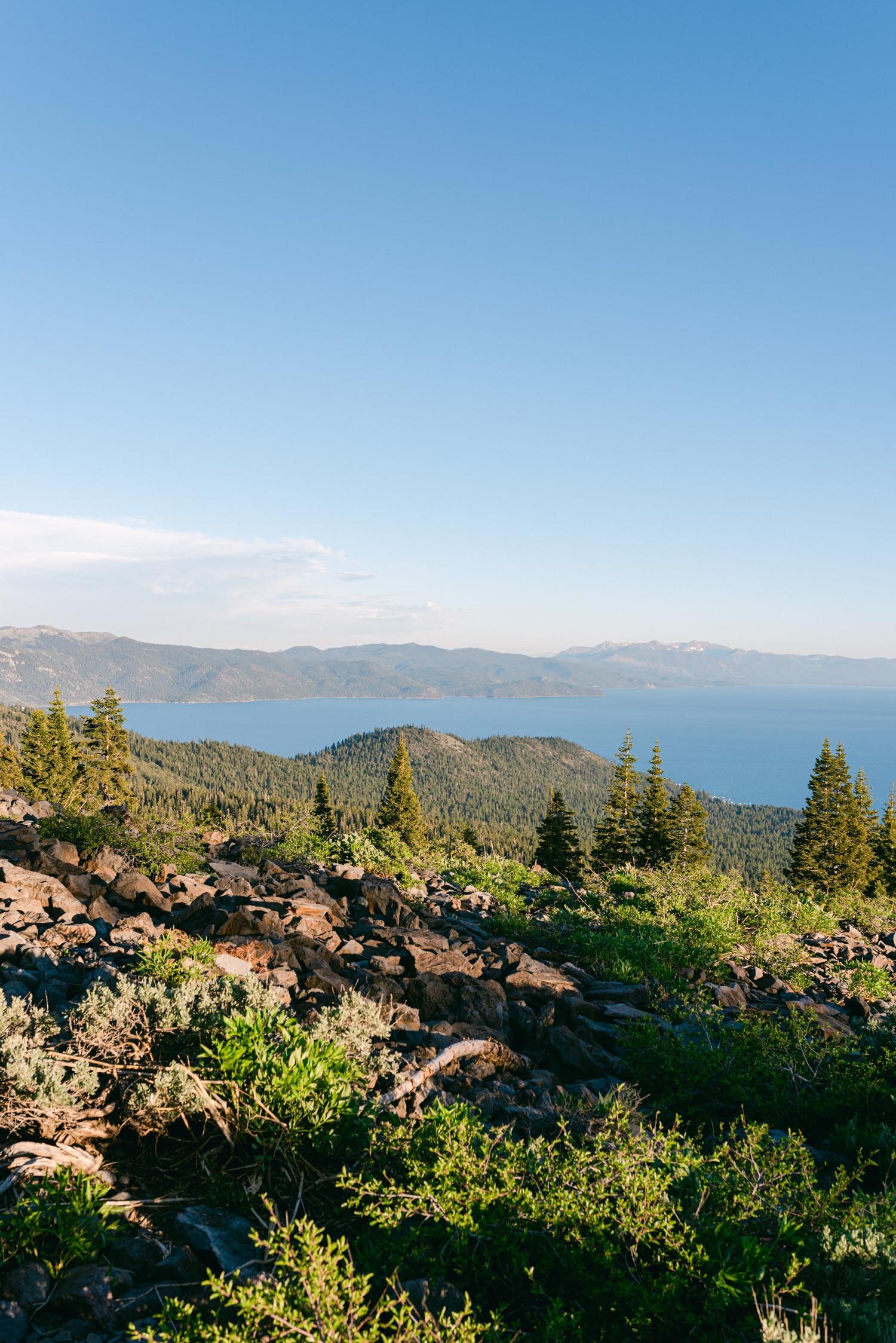 where-to-elope-in-lake-tahoe (13 of 19).jpg