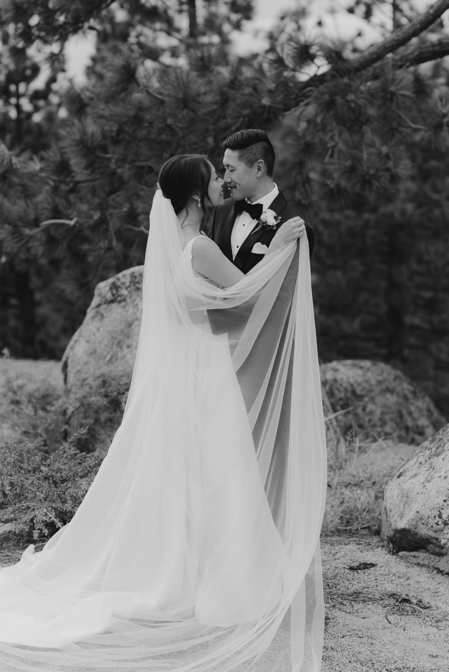 Tahoe Blue Estate Wedding photo of a couple in the Lake Tahoe forest
