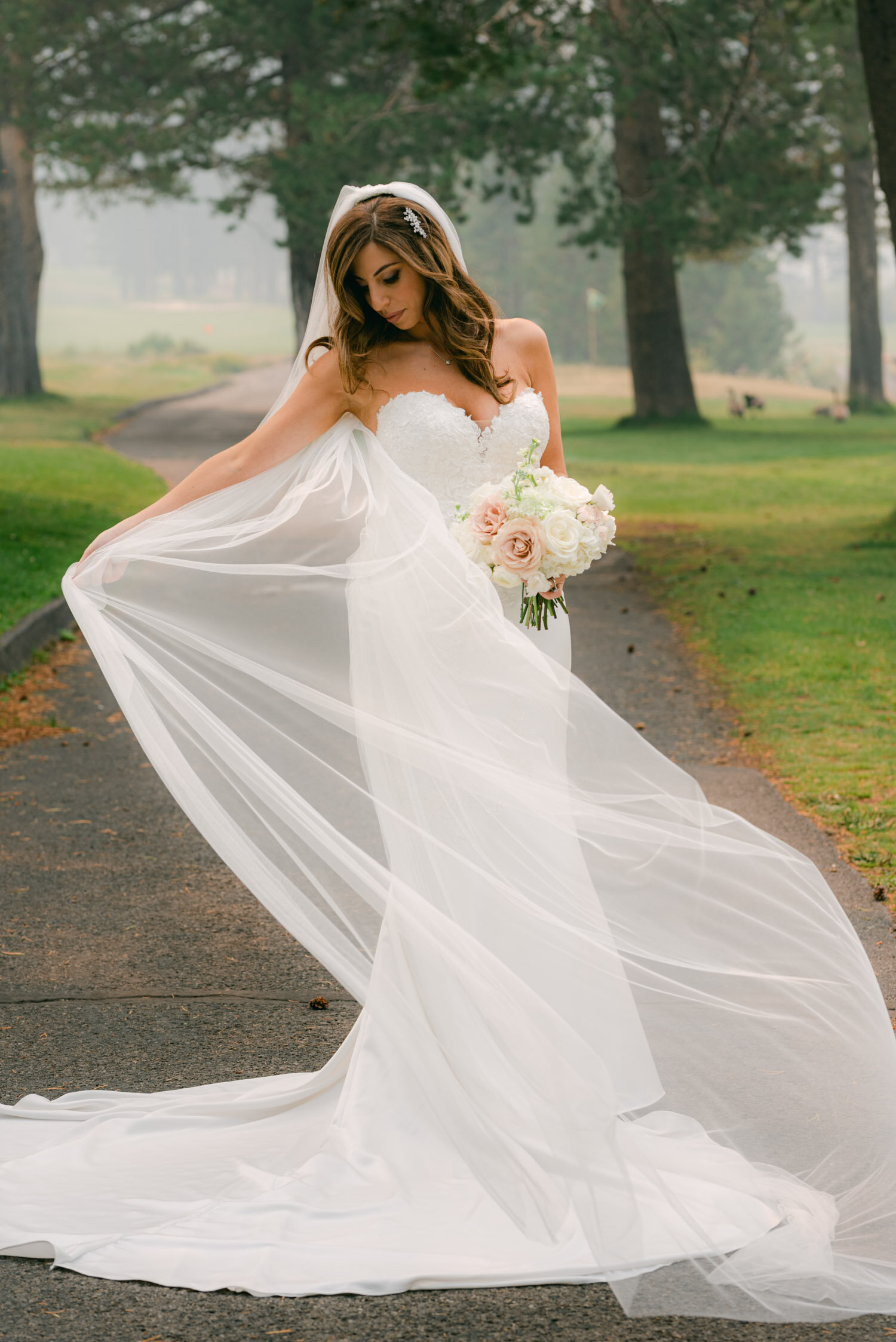 Palisades Wedding, photo of bride wearing a pronovias dress and a cathedral veil