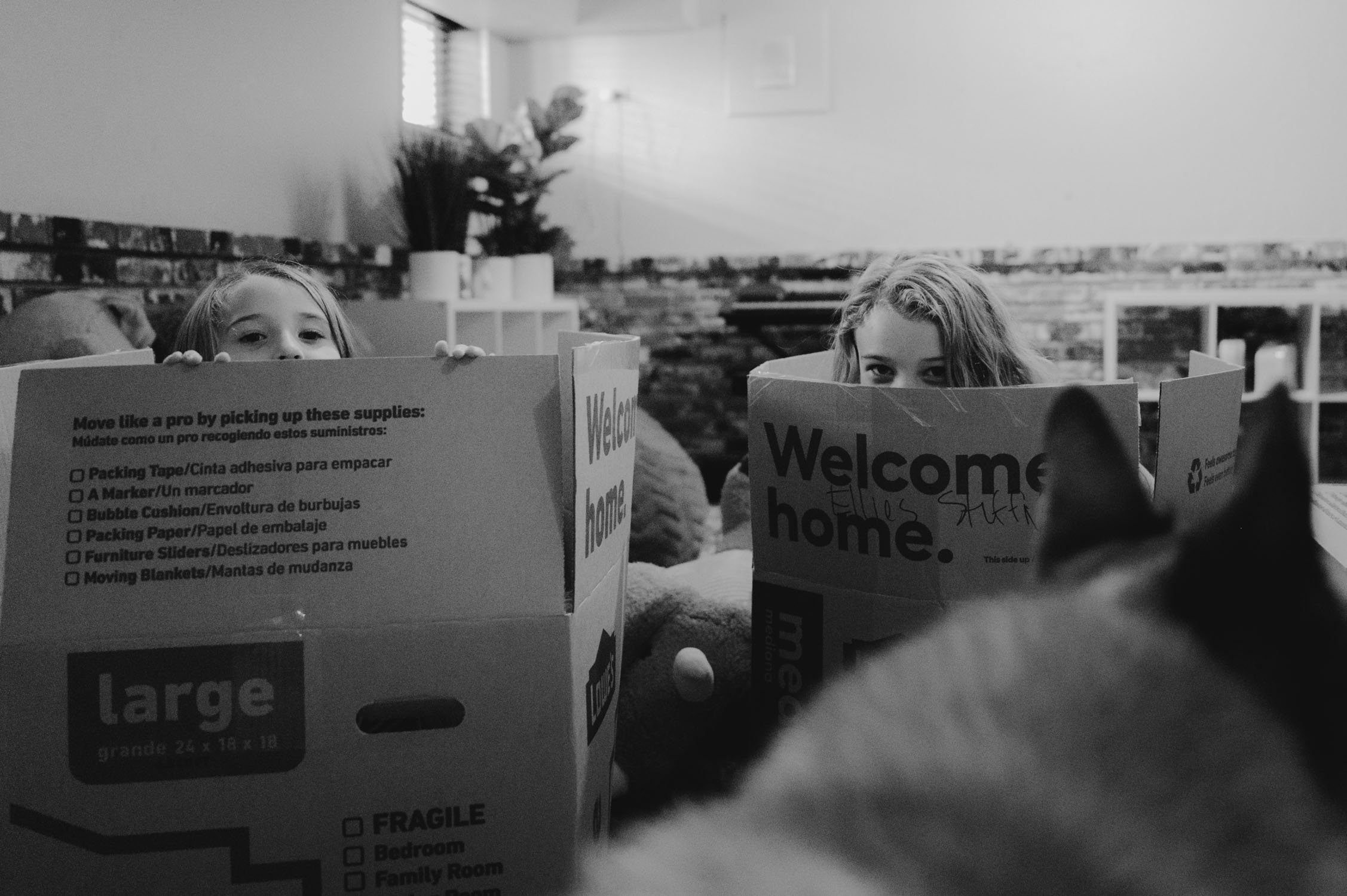move-in photoshoot, photo of girls peaking out of moving boxes