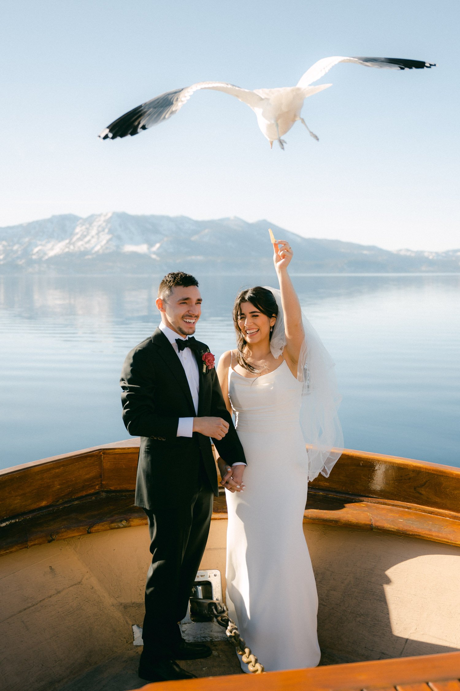 Tahoe Bleu Wave Wedding photo of seagull flying towards the couple