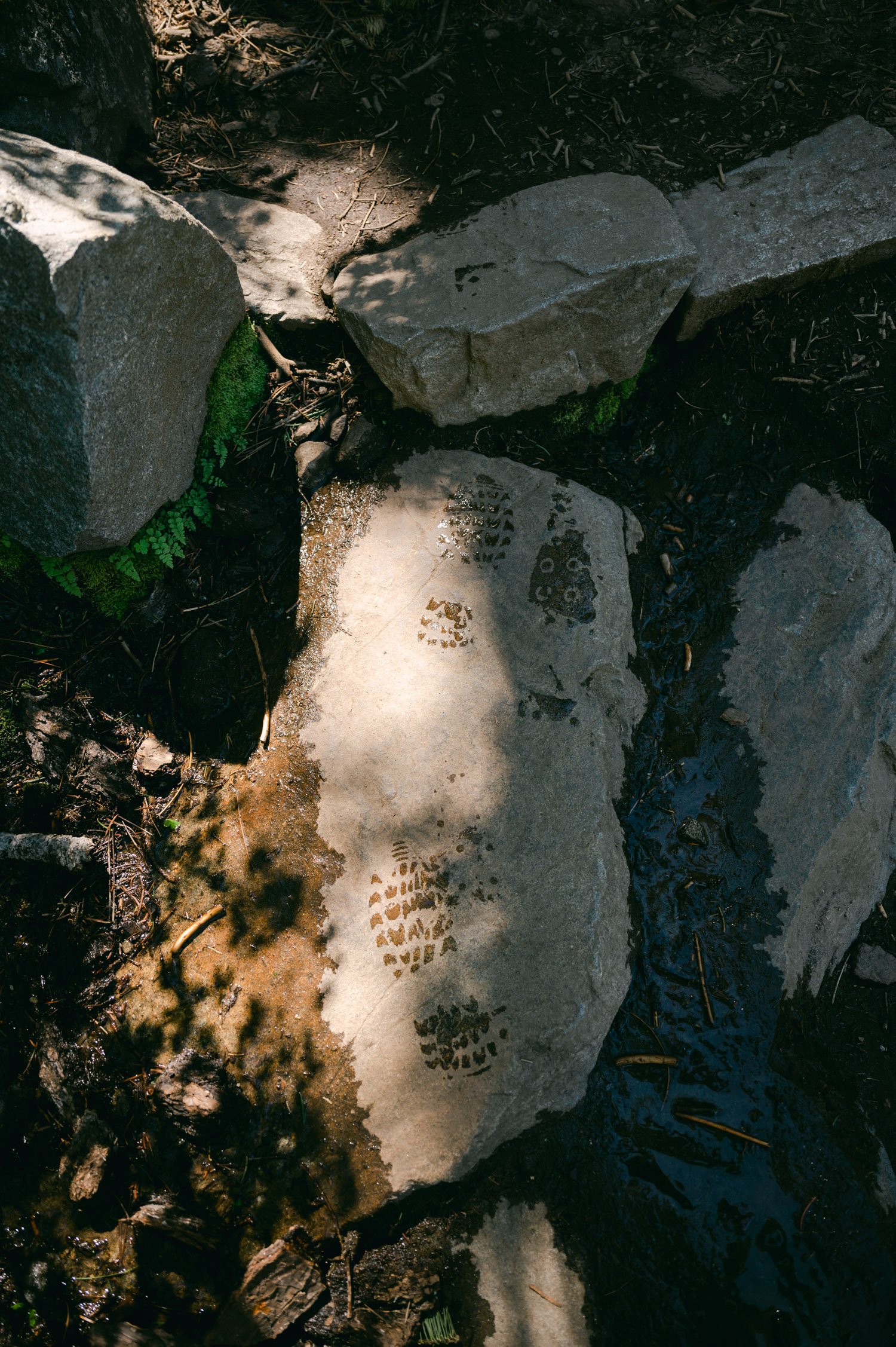 Adventure elopement in Lake Tahoe, photo of footprints 