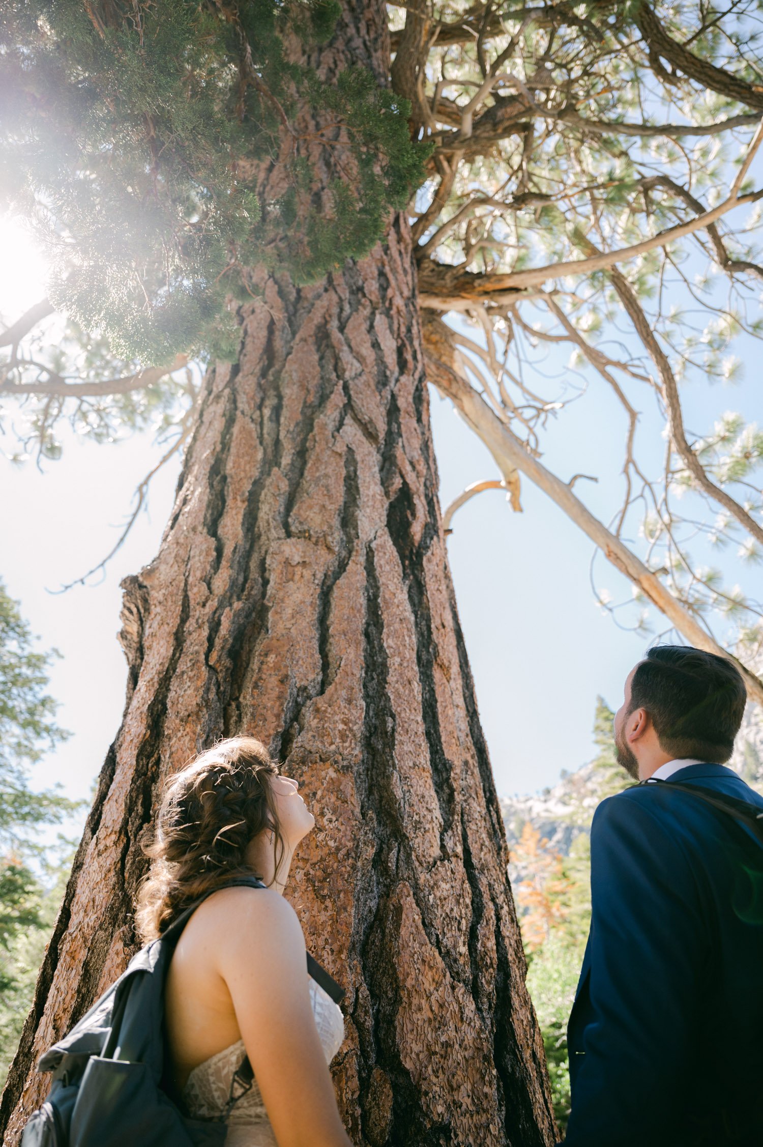 Adventure elopement in Lake Tahoe, photo of couple by a tree