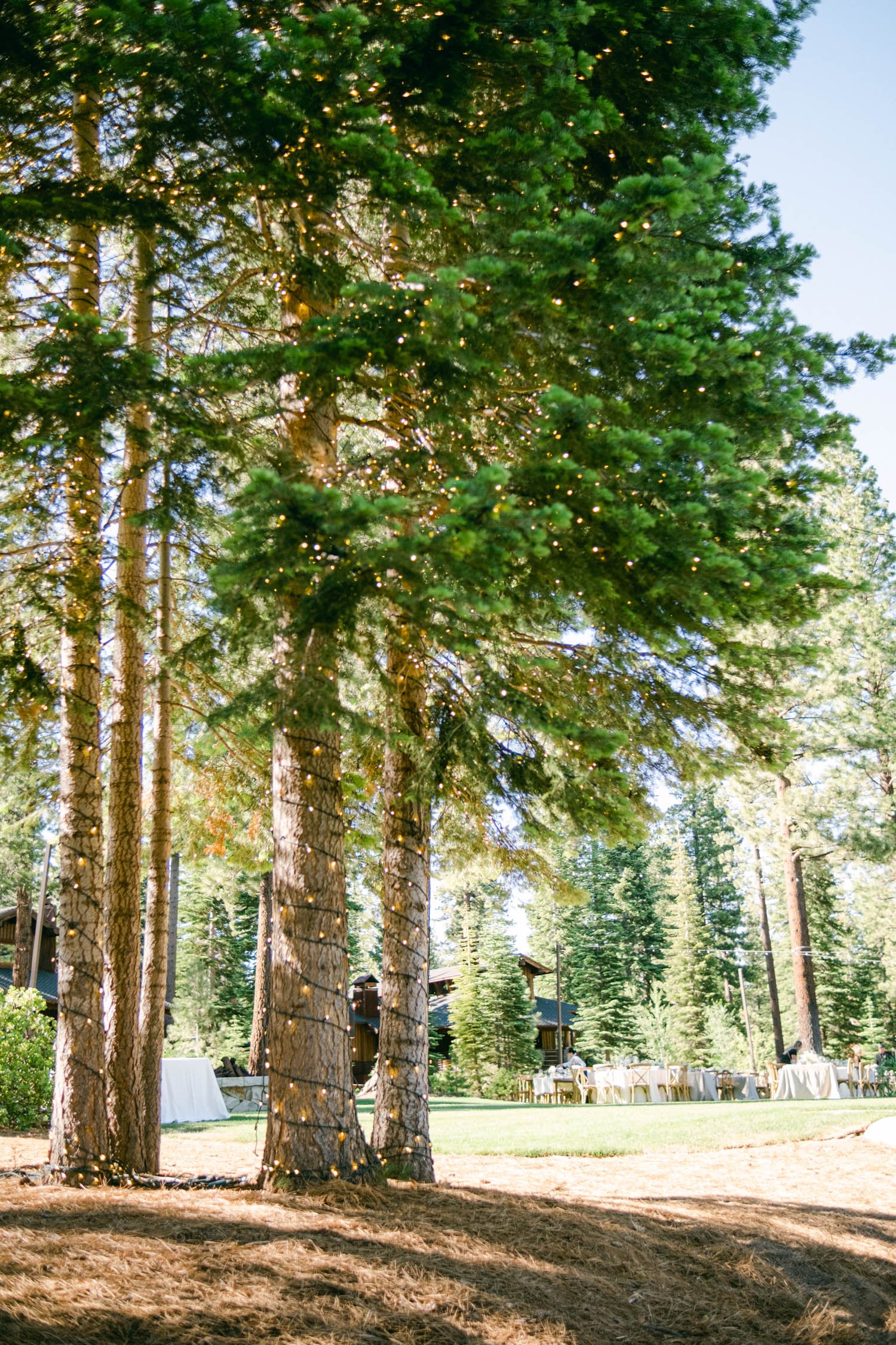 Martis Camp wedding, photo of a classic wedding theme in the forest