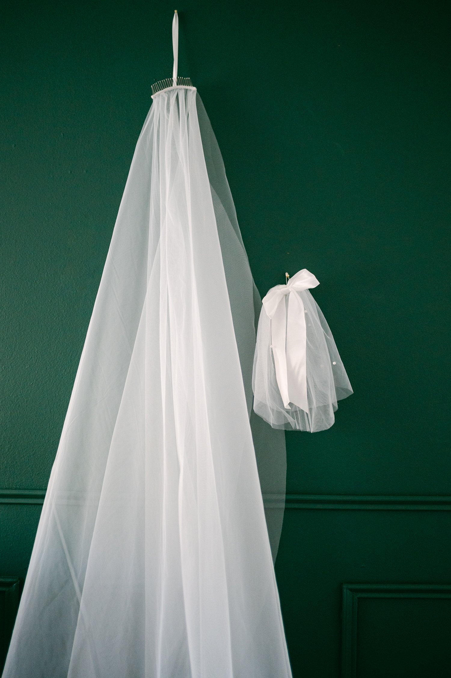 Brazilian Room Wedding in Berkeley, CA, photo of a veil for a cat