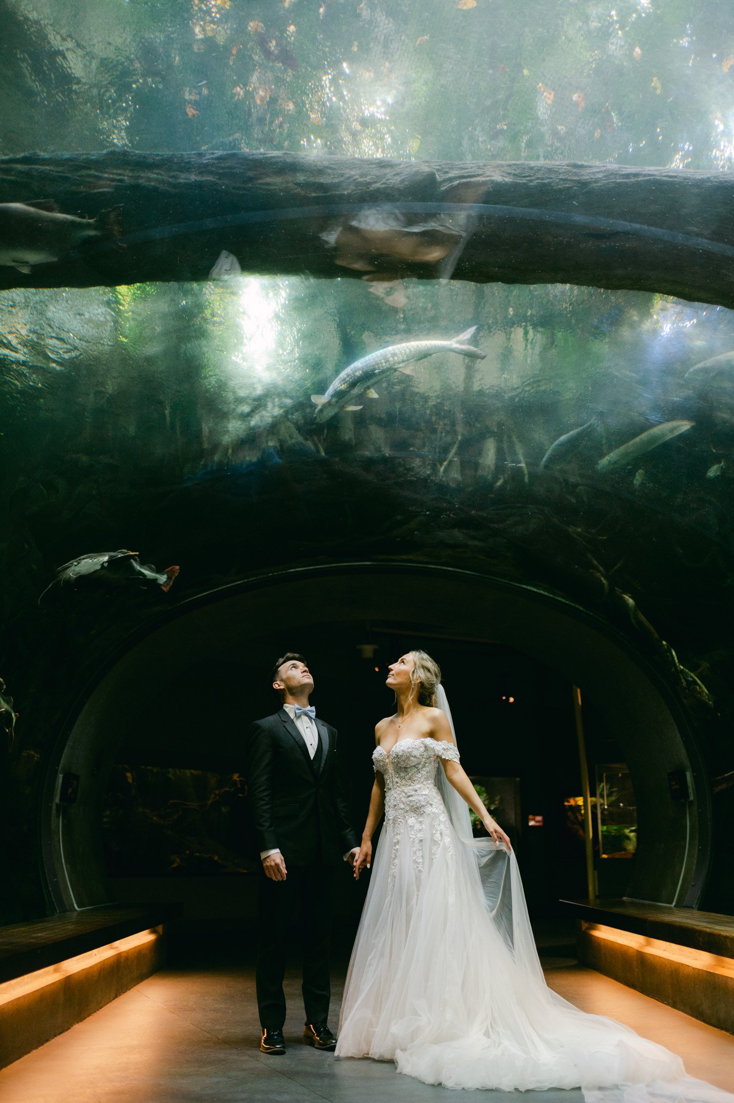 California academy of Sciences in San Francisco Wedding, photo of the couple in the aquarium looking up to the fishes